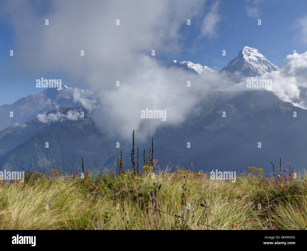 Catena hannapurna da Poon Hill - uno dei più visitati himalayana punti di vista in Nepal, in vista di Snow capped Himalaya Foto Stock