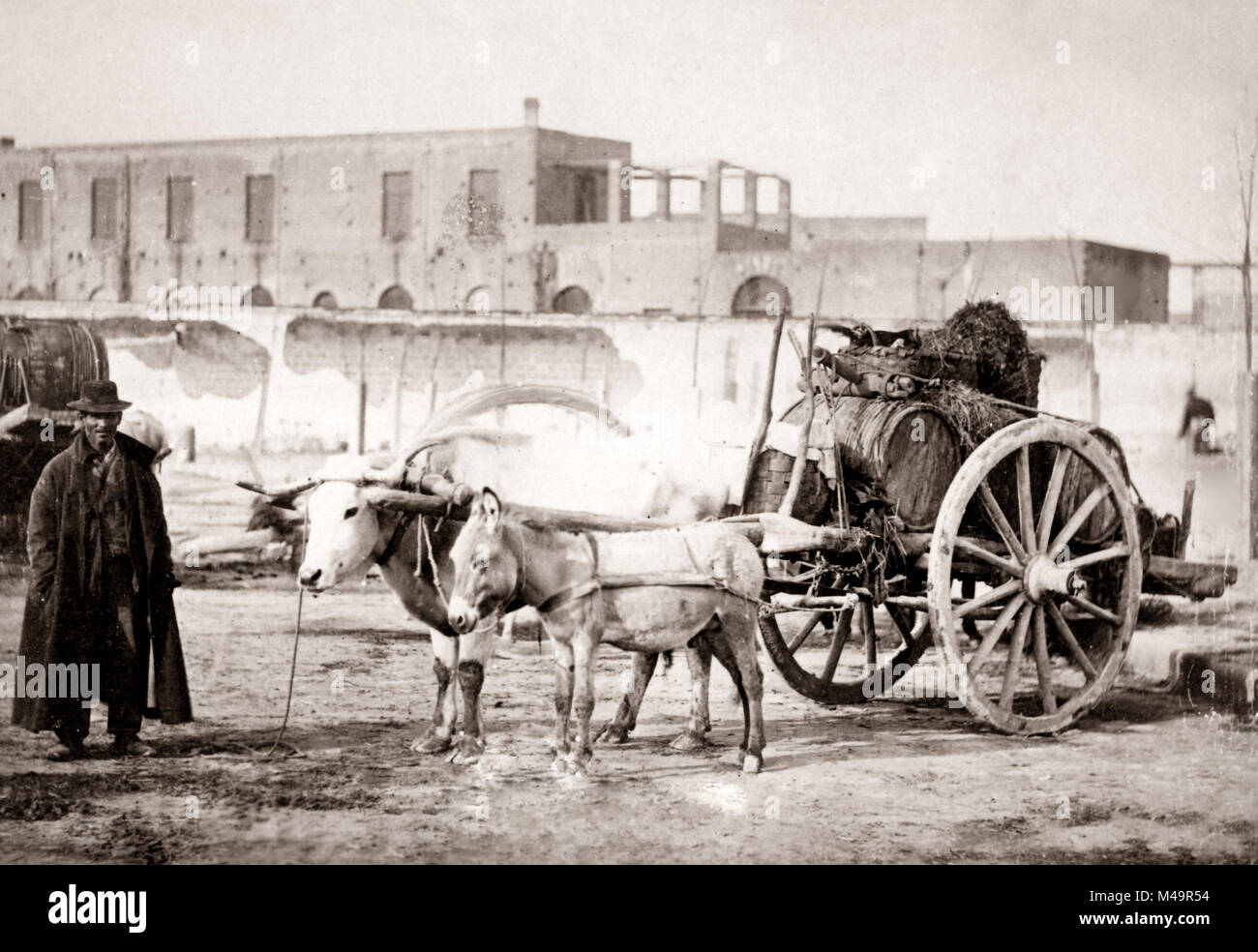 C.1880s Italia - uomo con ox cart e botti da vino Foto Stock