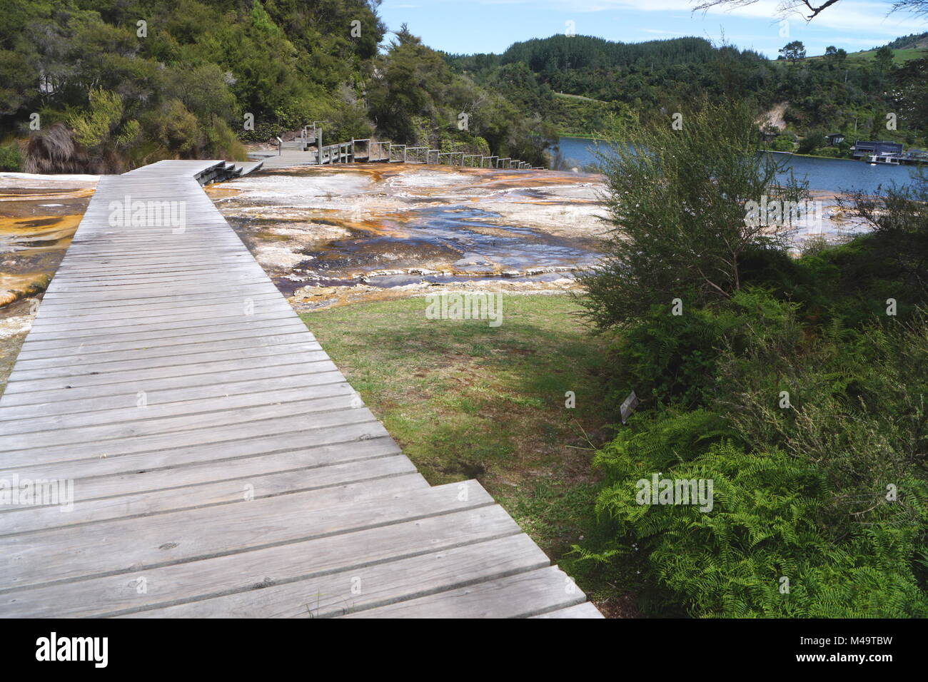 Area termale Orakei Korako,Taupo zona vulcanica,Nuova Zelanda Foto Stock