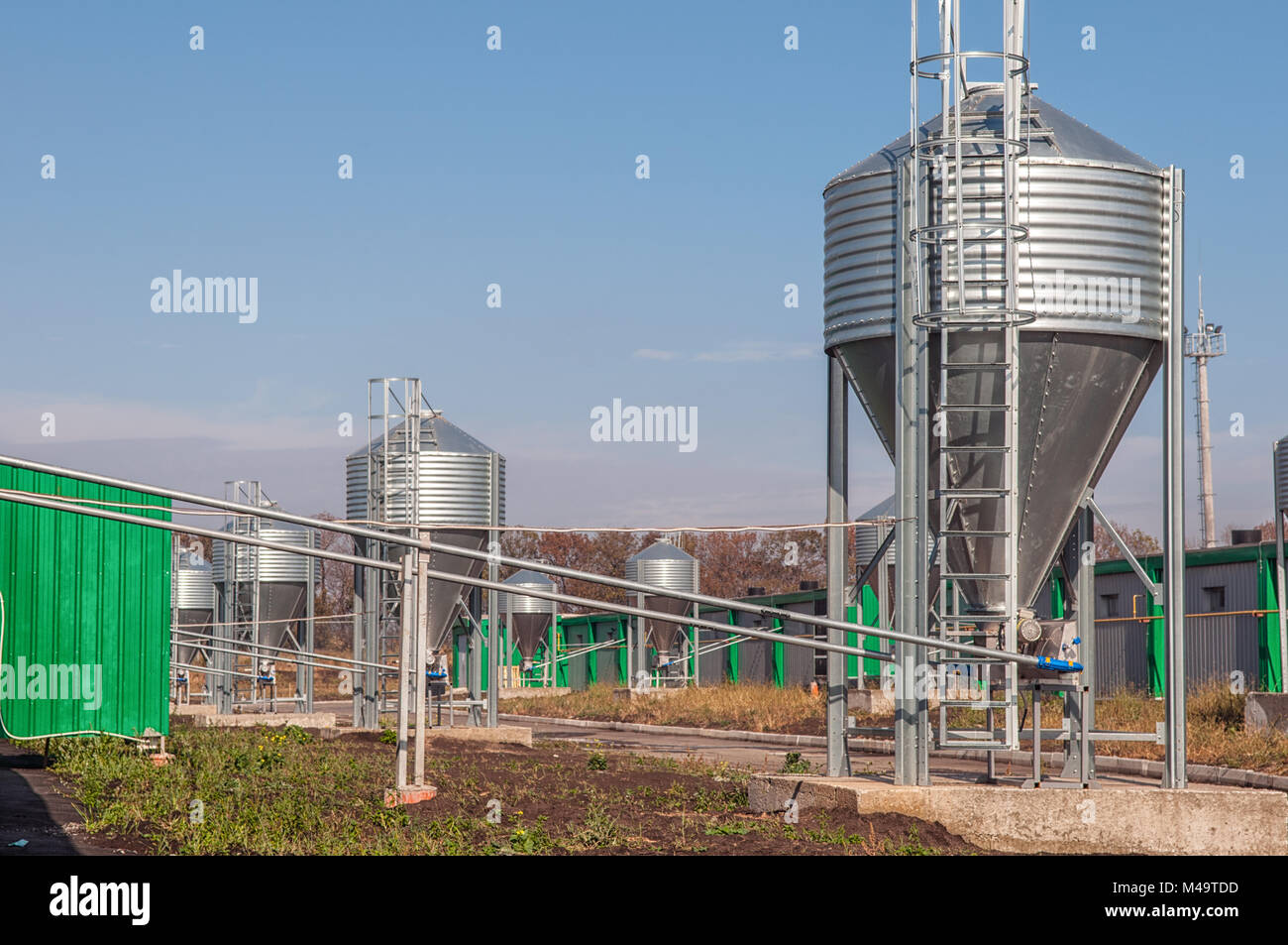 Ferro zincato silos per il grano in un allevamento del bestiame farm Foto Stock