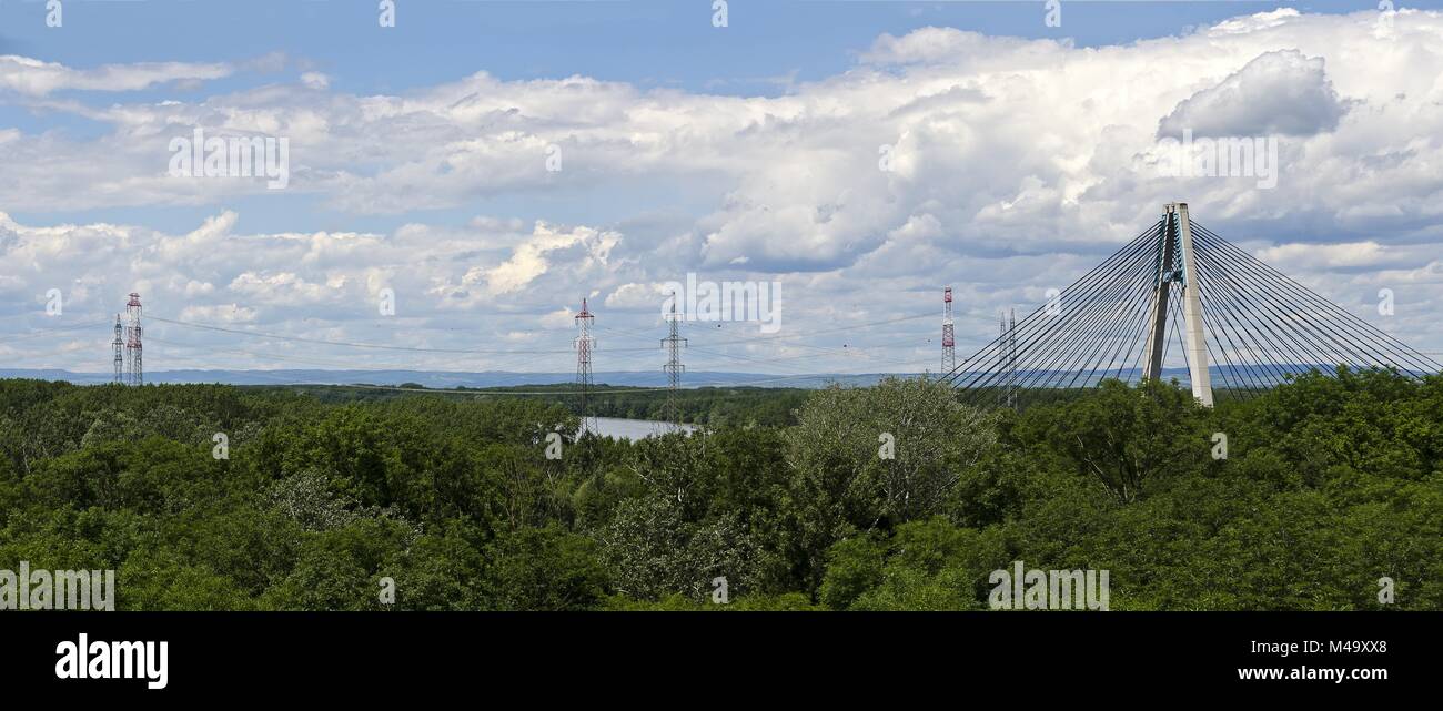 I capretti foresta con rose ponte che attraversa il fiume Danubio Foto Stock