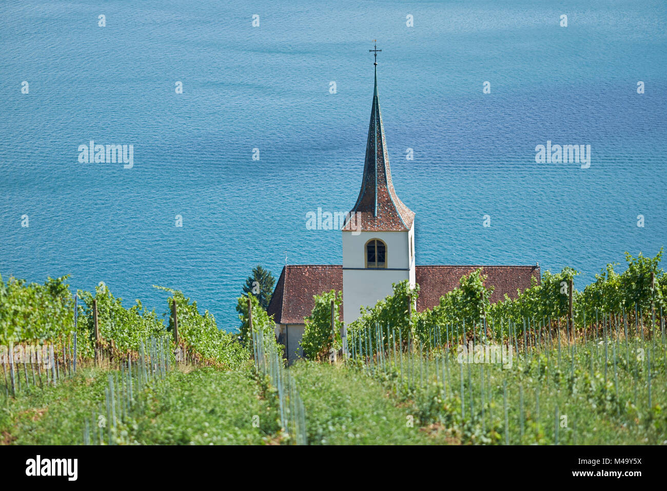 Ligerz, Svizzera, sul lago di Bienne Foto Stock