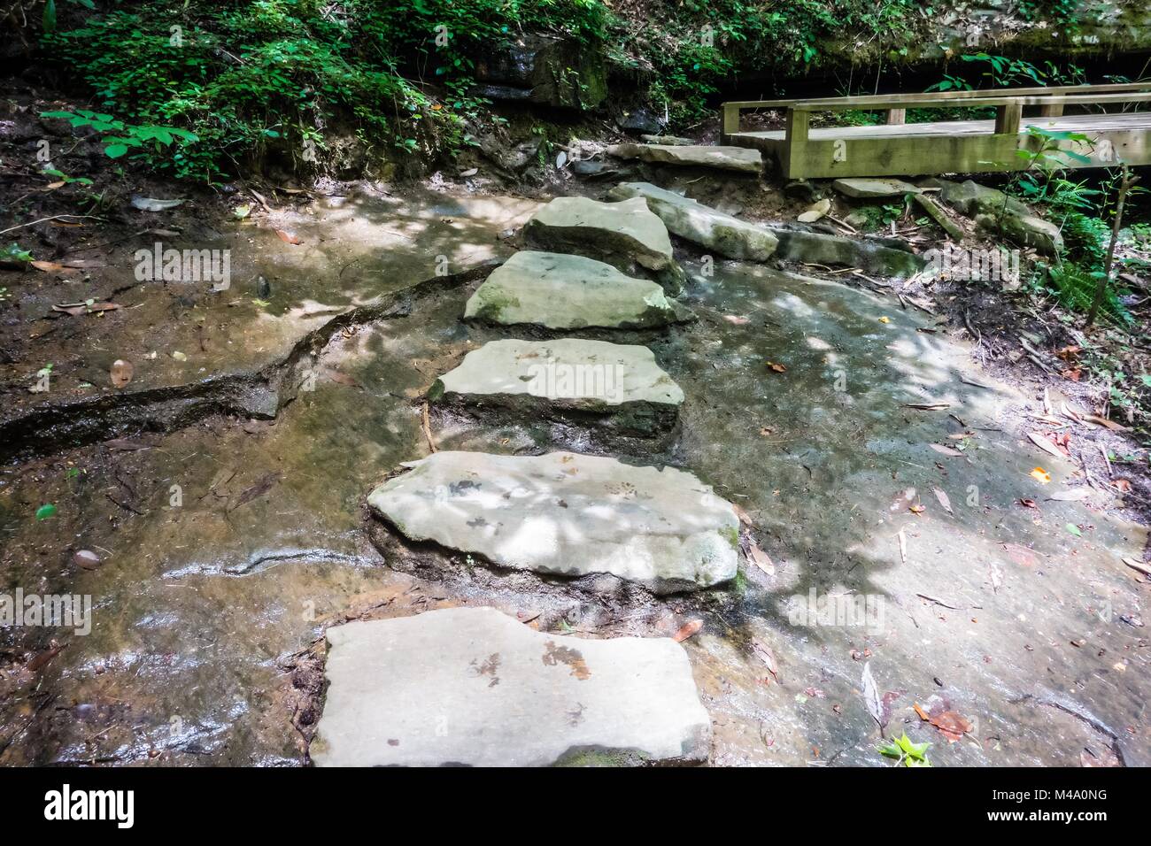 Vedute panoramiche lungo sentieri trailat table rock mountain Carolina del Sud Foto Stock