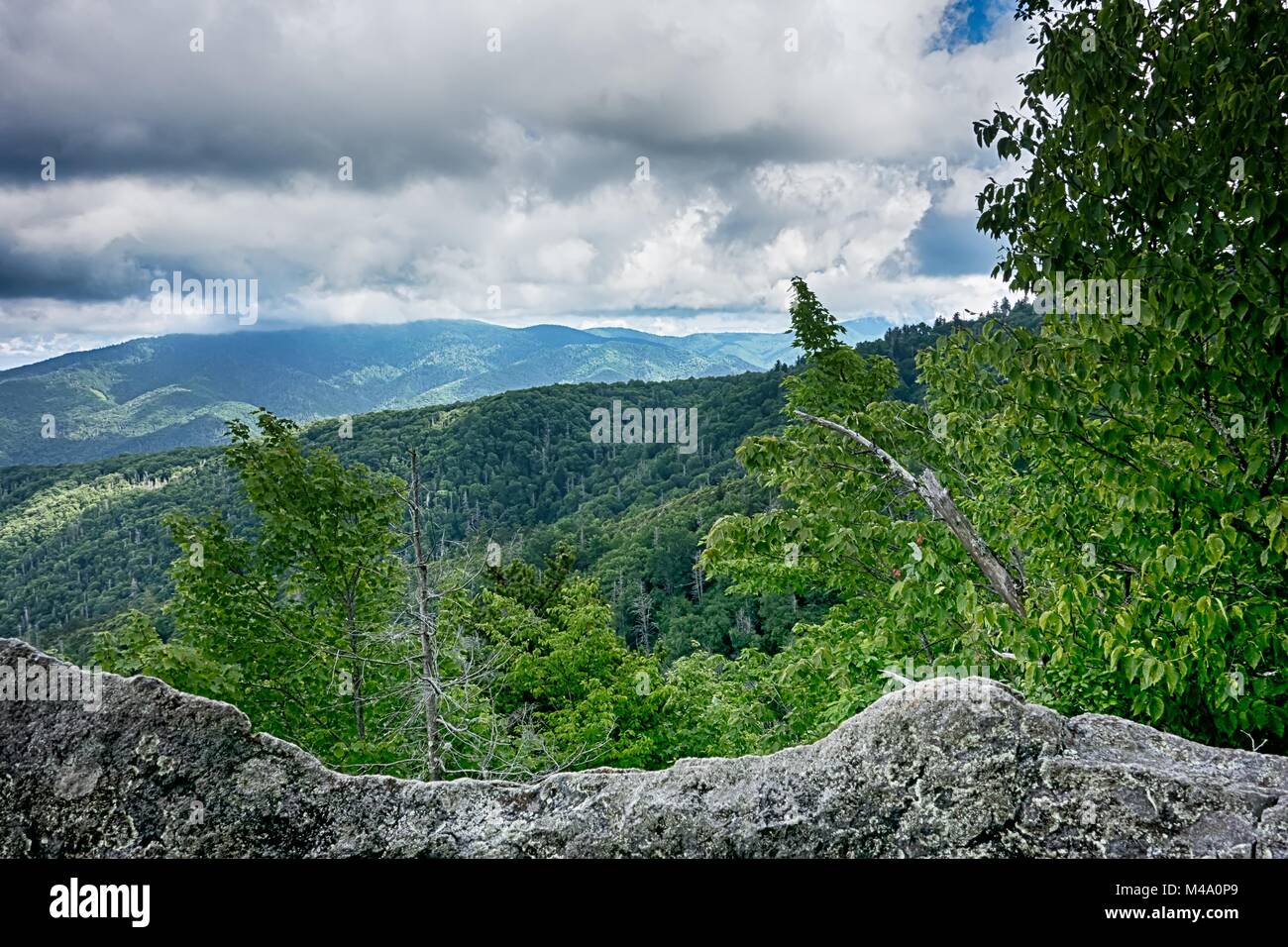 Scene lungo Appalachian trail di Great Smoky mountains Foto Stock