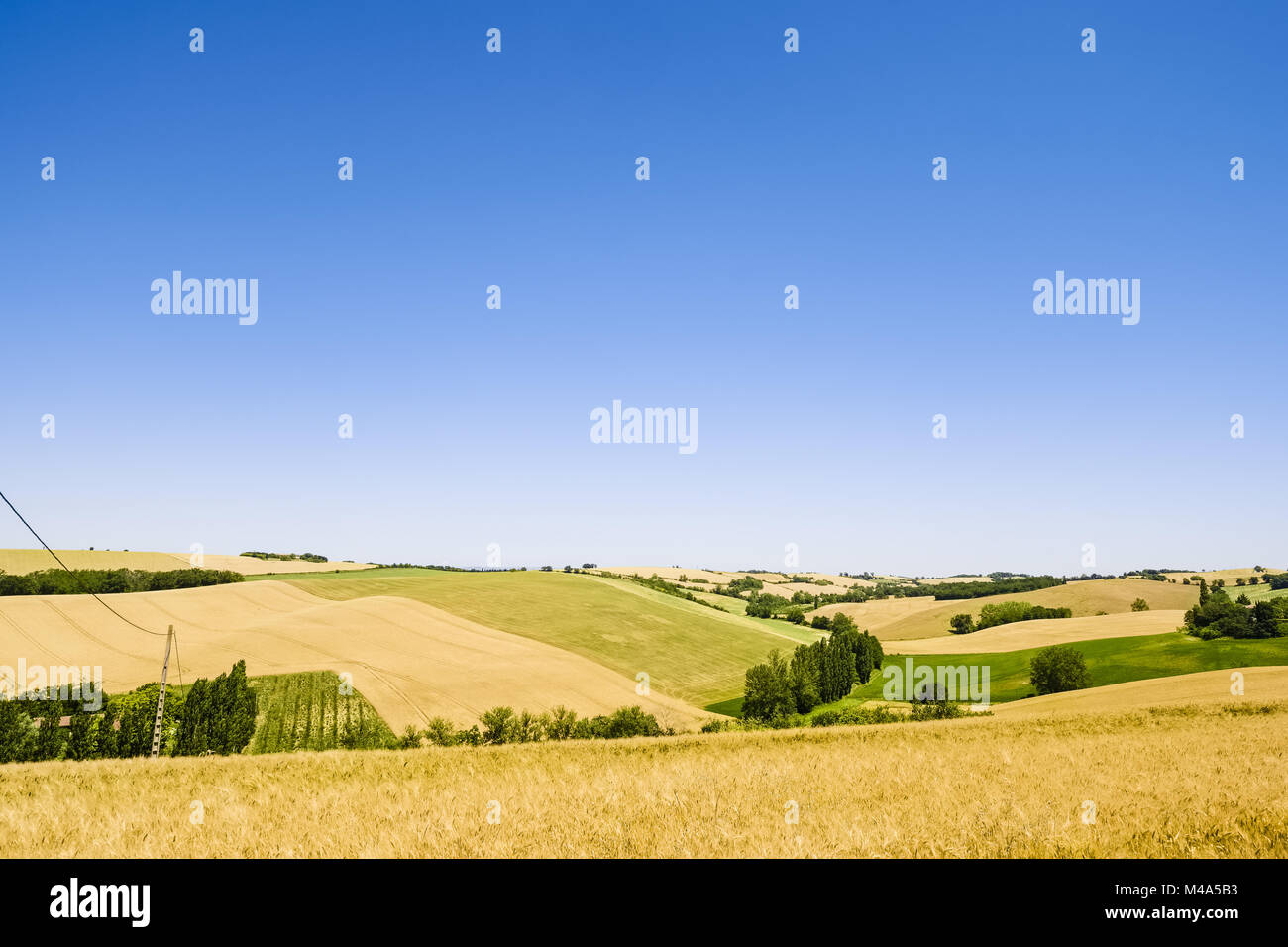 Paesaggio vicino a Tolosa, Francia Foto Stock