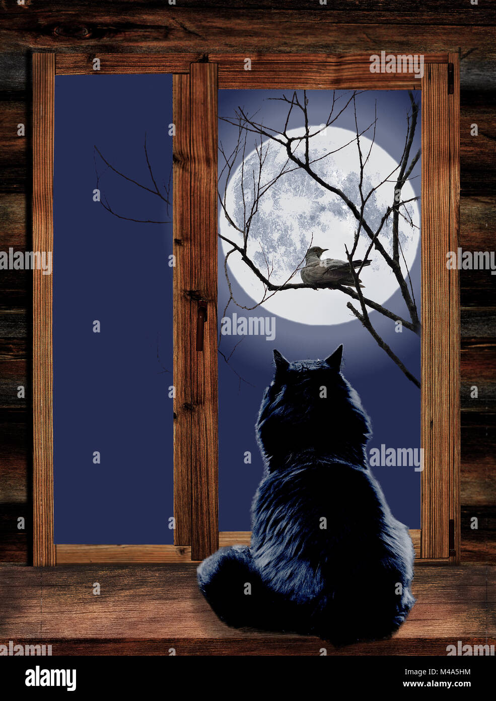 Cat nella finestra e un uccello sul ramo al chiaro di luna Foto Stock