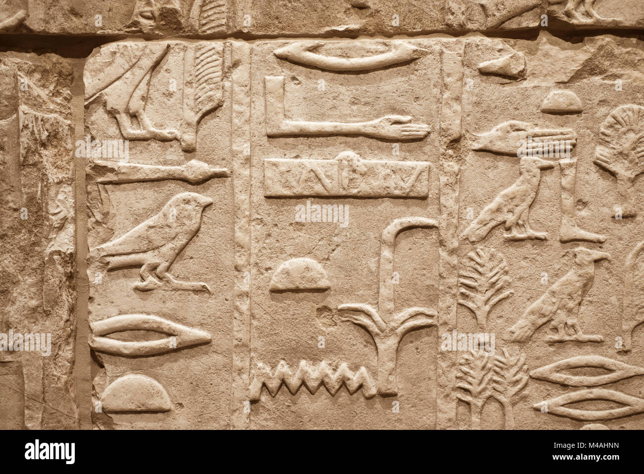 Un enorme muro di sabbia con diverse figure Incisioni da Egitto Antico Foto Stock