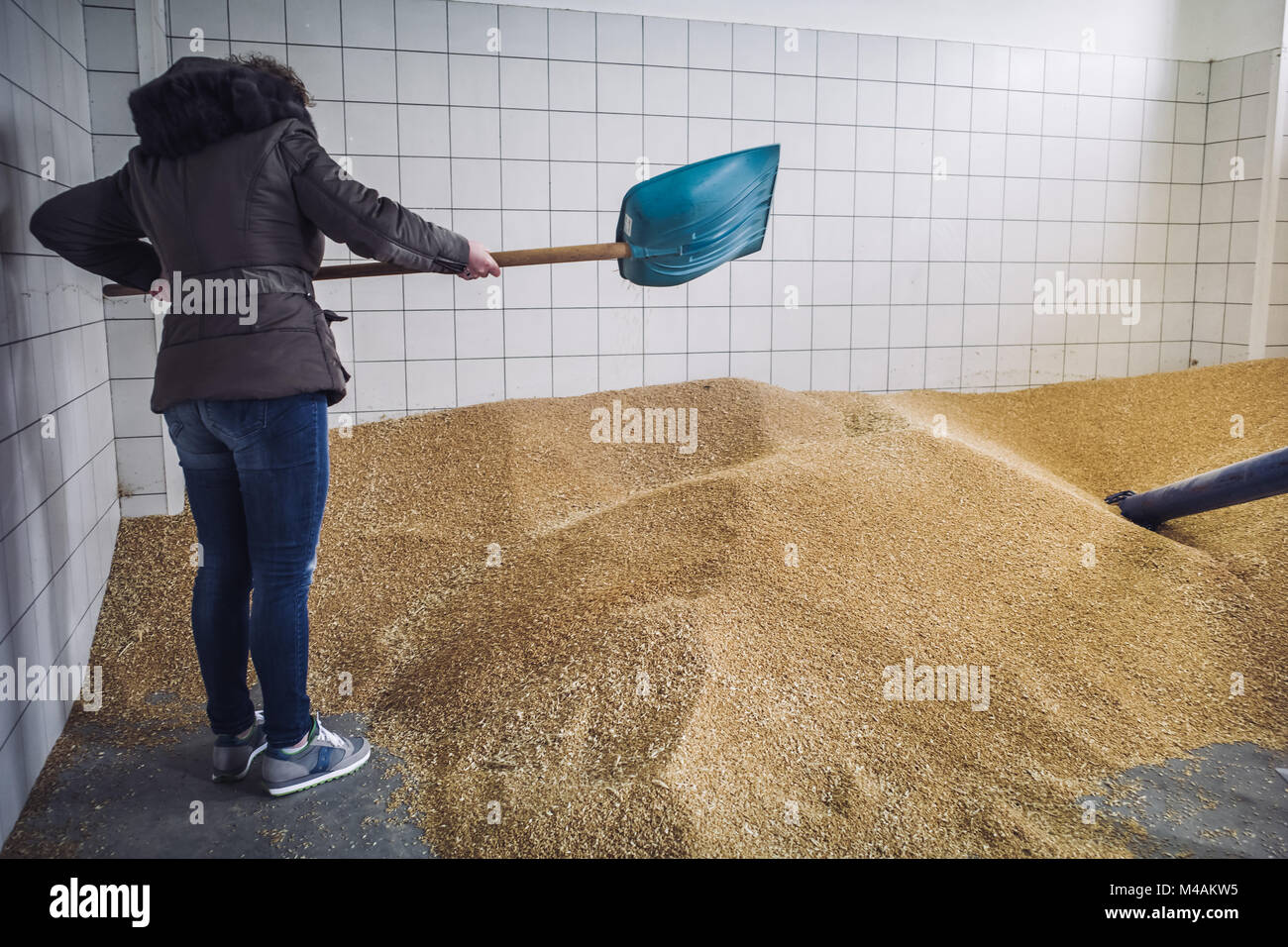 Produzione di vera farina di grano in un antico mulino in Erchie, Puglia Foto Stock