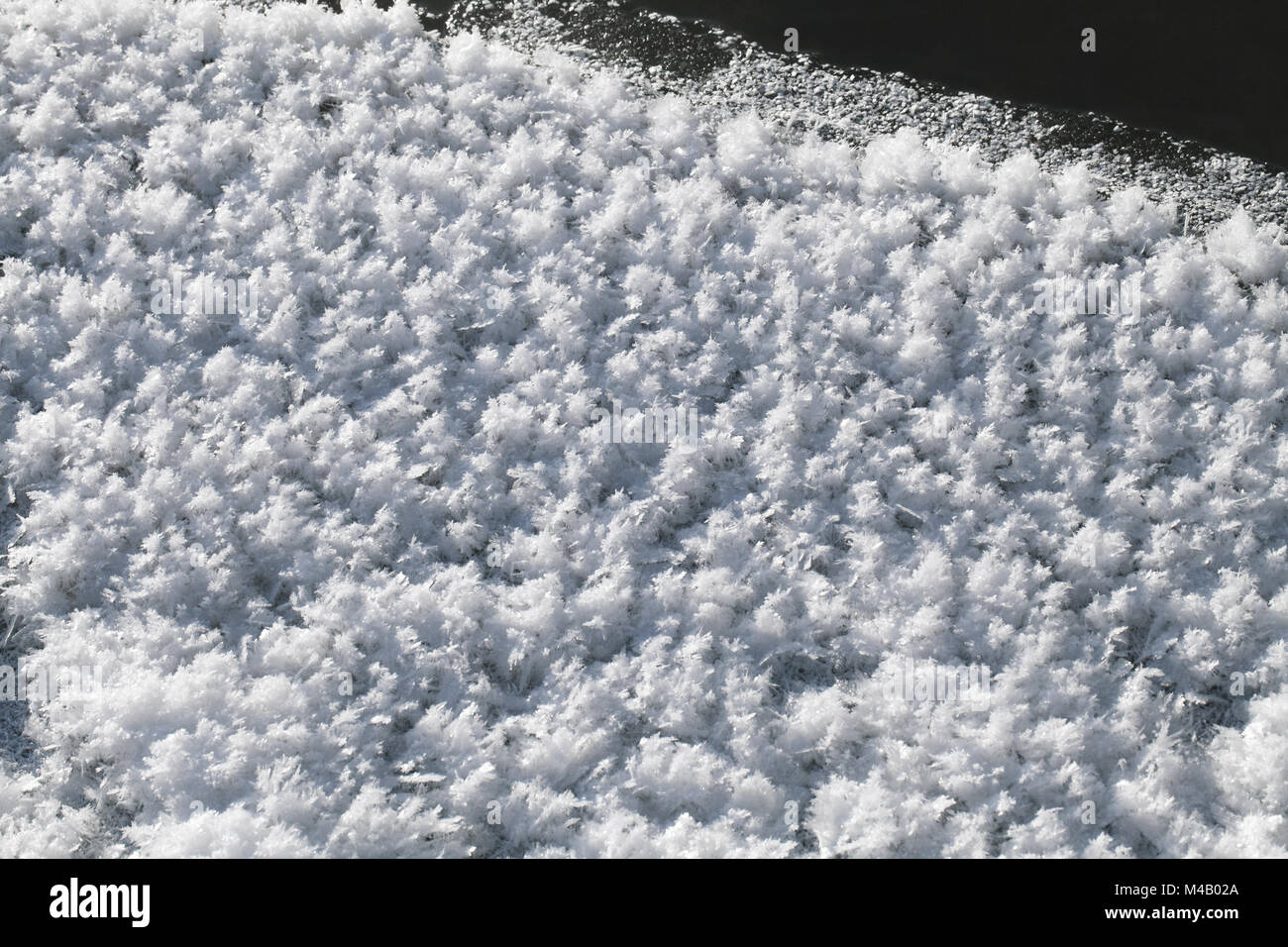 Cristalli di neve sul terreno Foto Stock