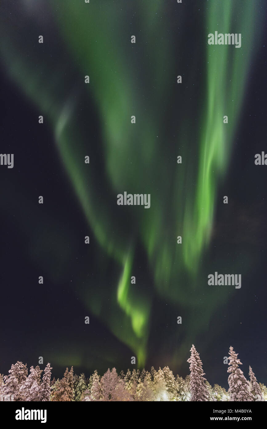 Luci del Nord (l'Aurora boreale, Gellivare, Lapponia, Svezia Foto Stock