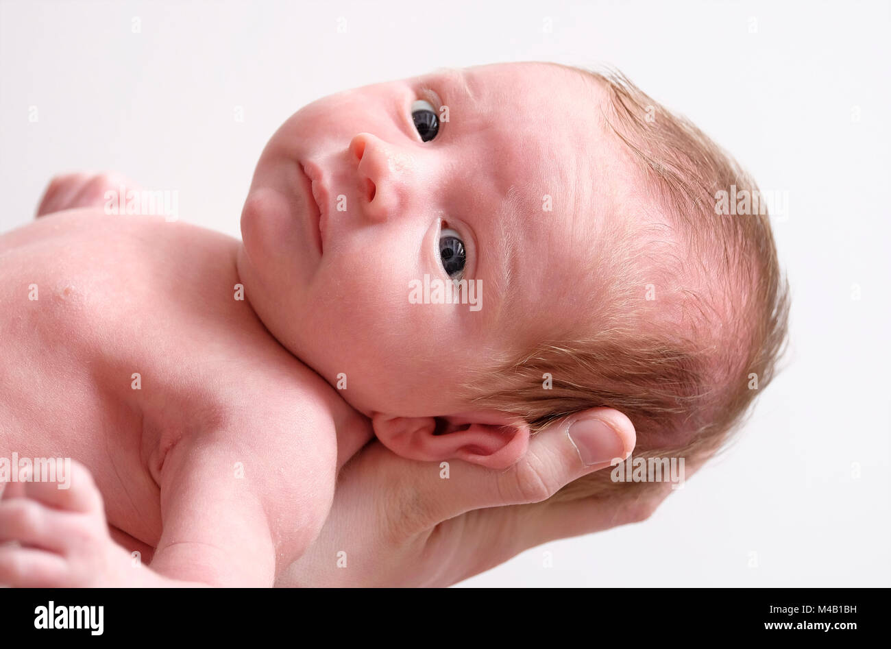 New Born Baby boy con testa tenuta in mano le madri Foto Stock