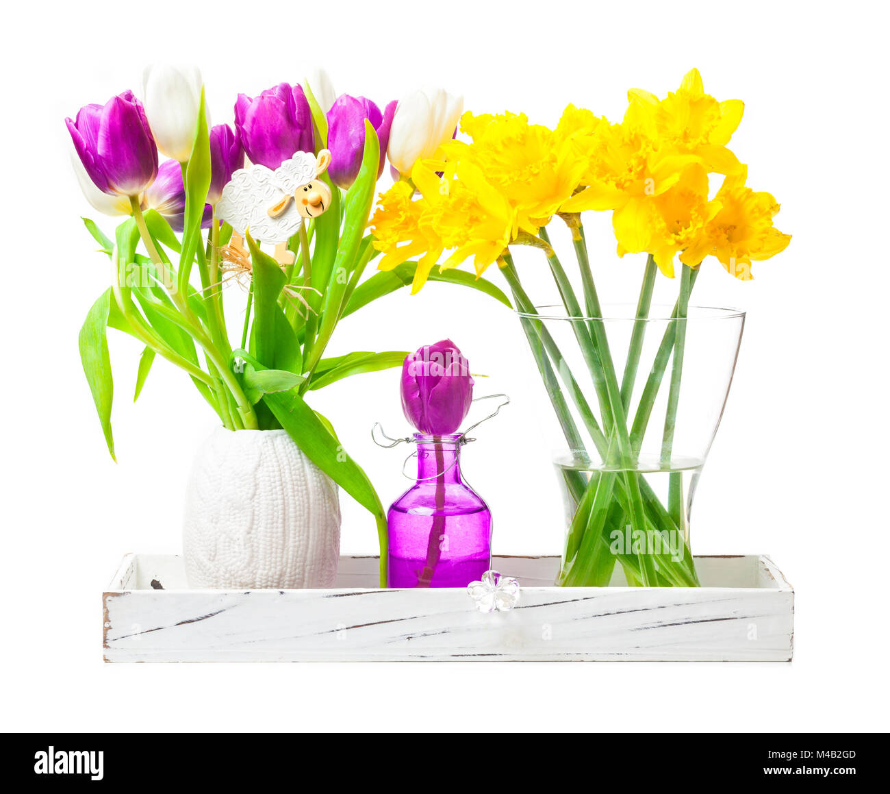 I narcisi, tulipani,decorazione di Pasqua Foto Stock