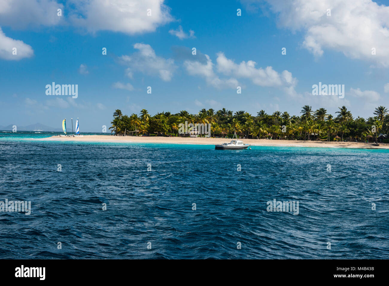 Catamarani su un bellissimo da palme spiaggia di sabbia bianca di Palm Island,Grenadine Isole,San Vincent e Grenadine,dei Caraibi Foto Stock