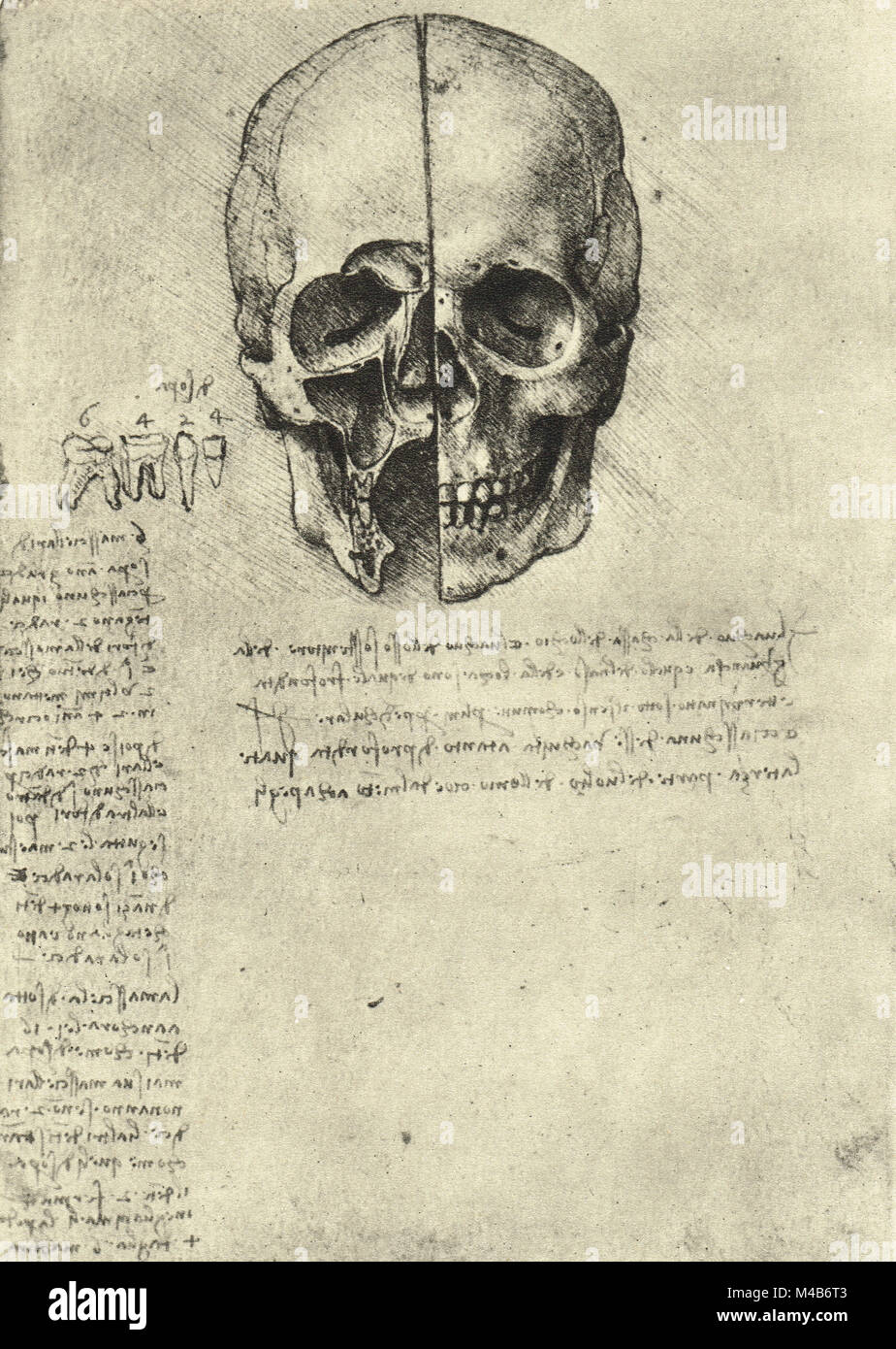 Due metà di un cranio, studio anatomico del cranio, disegnata da Leonardo Da Vinci, circa 1489 Foto Stock