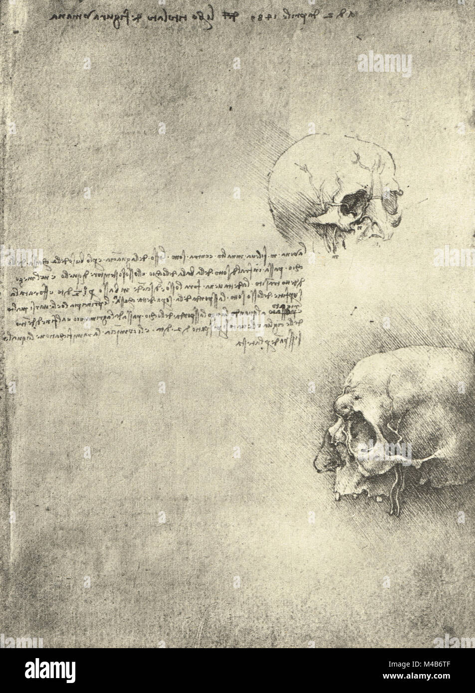 Due disegni, struttura ossea della testa, studio anatomico di teschi, disegnata da Leonardo Da Vinci, circa 1489 Foto Stock