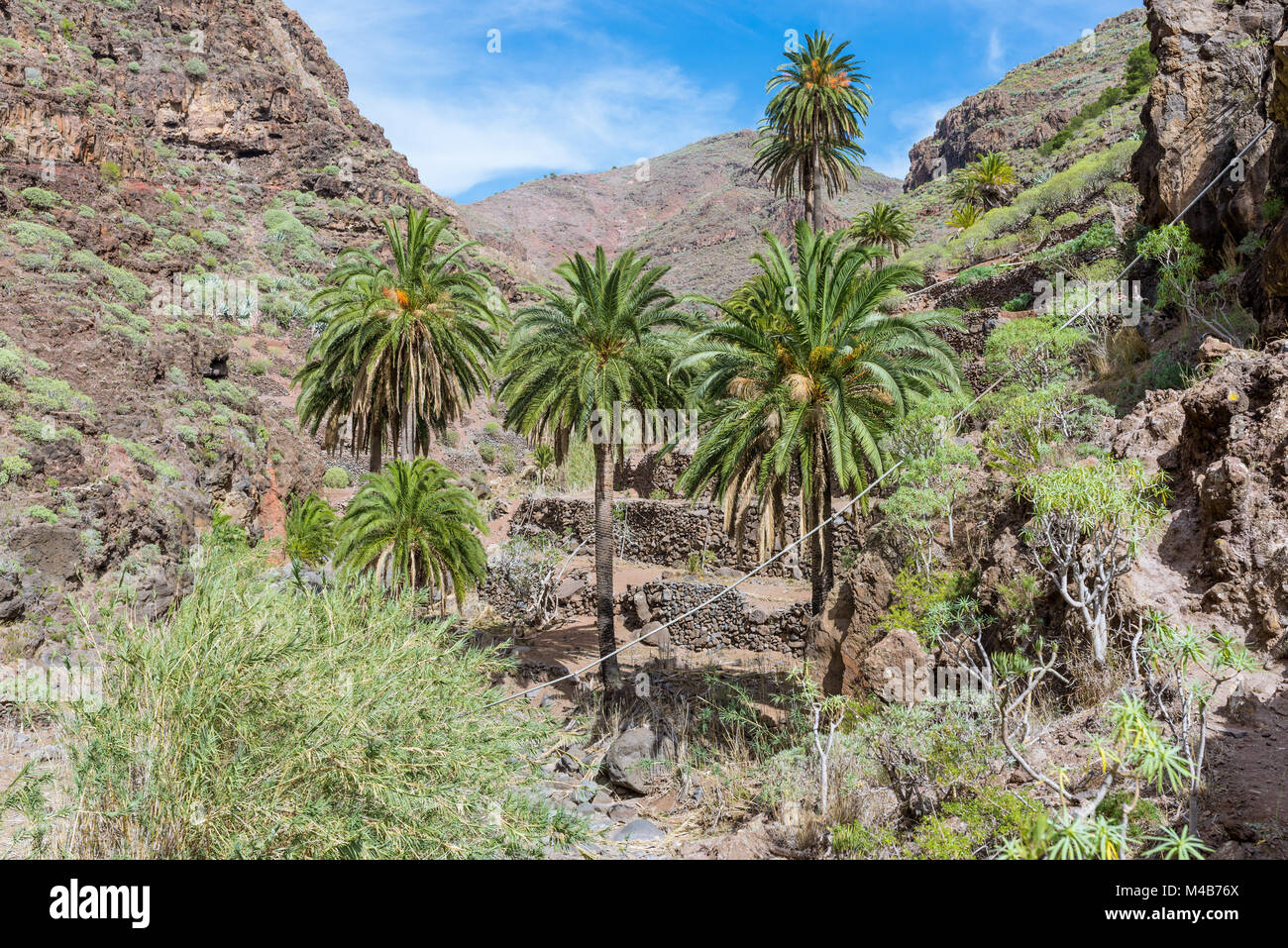 Barranco de Argaga un ripido canalone su La Gomera Foto Stock