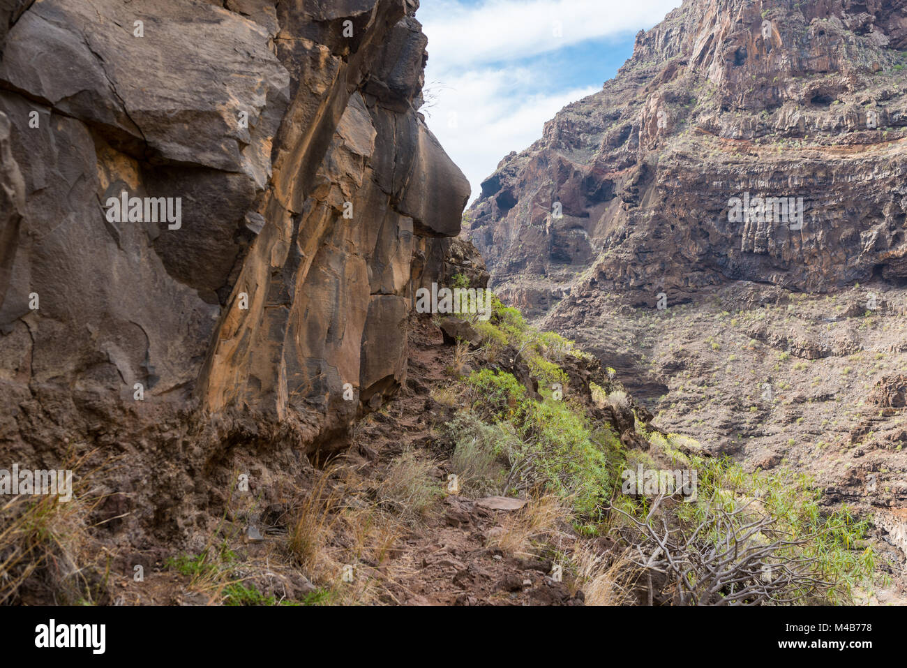 Barranco de Argaga un ripido canalone su La Gomera Foto Stock