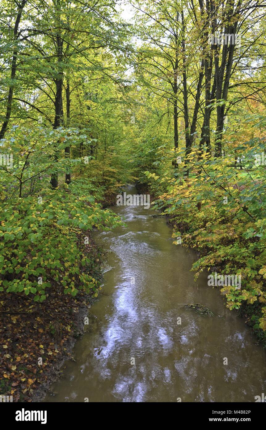 Corso di flusso in una foresta autumnally Foto Stock