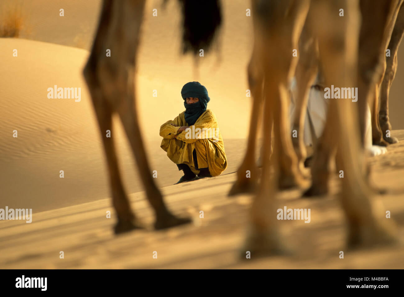 In Algeria. Nei pressi di Djanet. Deserto del Sahara. Uomo di tribù Tuareg e cammello. Il Nomad. Driver del cammello. Foto Stock