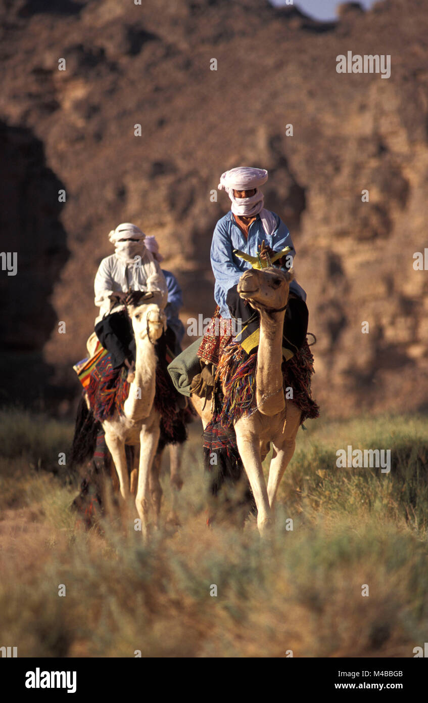 In Algeria. Nei pressi di Djanet. Deserto del Sahara. Gli uomini della tribù Tuareg e cammelli. Nomadi. I driver di cammello. Foto Stock