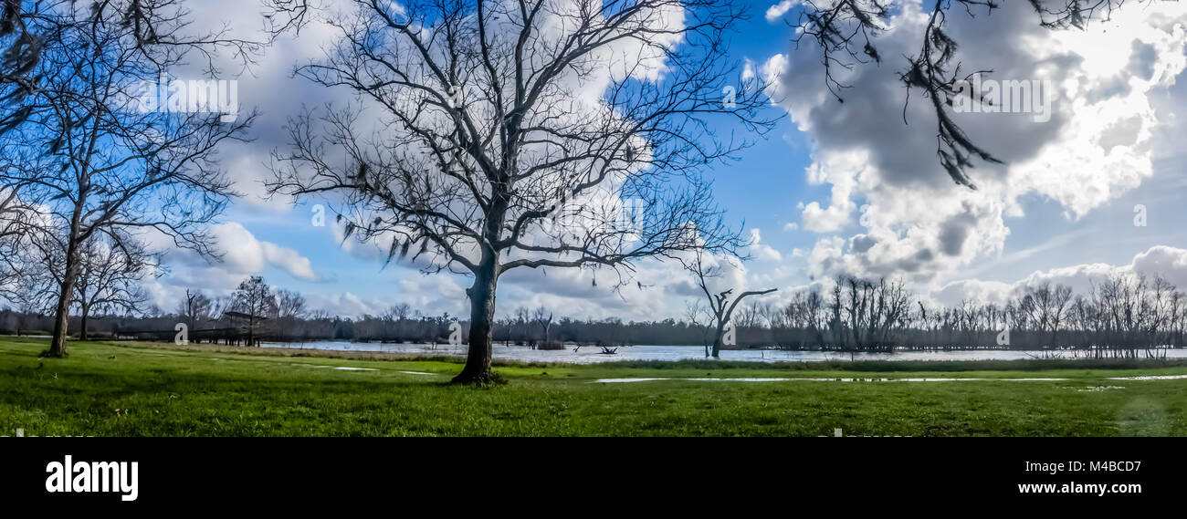 Dopo un inverno di pioggia in un TX parco dello stato. Foto Stock