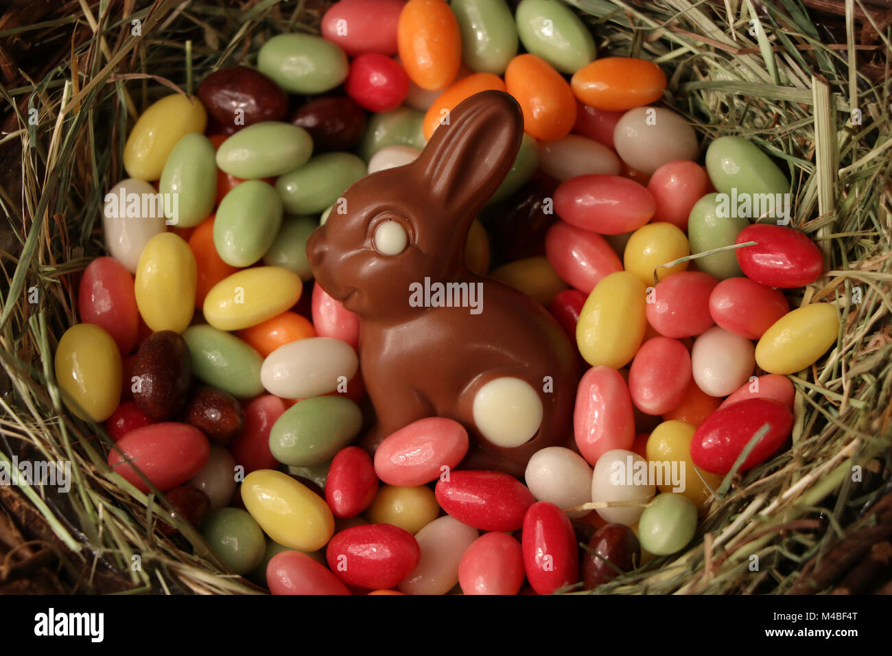 Il cioccolato coniglietto di Pasqua in un cestello Foto Stock