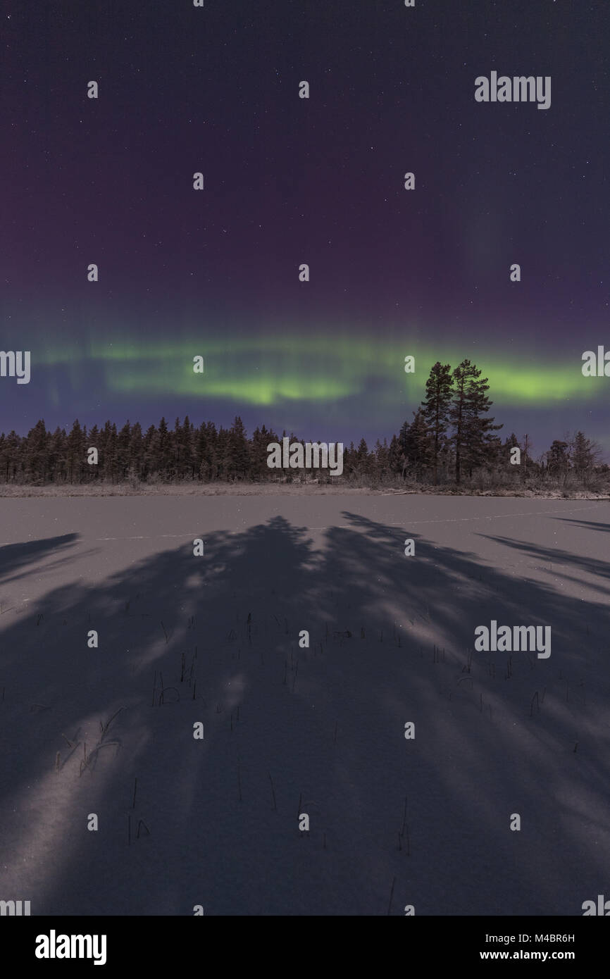 Luci del nord sopra il paesaggio al chiaro di luna, Lapponia, Svezia Foto Stock