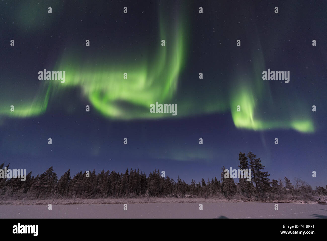 Luci del nord sopra il paesaggio al chiaro di luna, Lapponia, Svezia Foto Stock