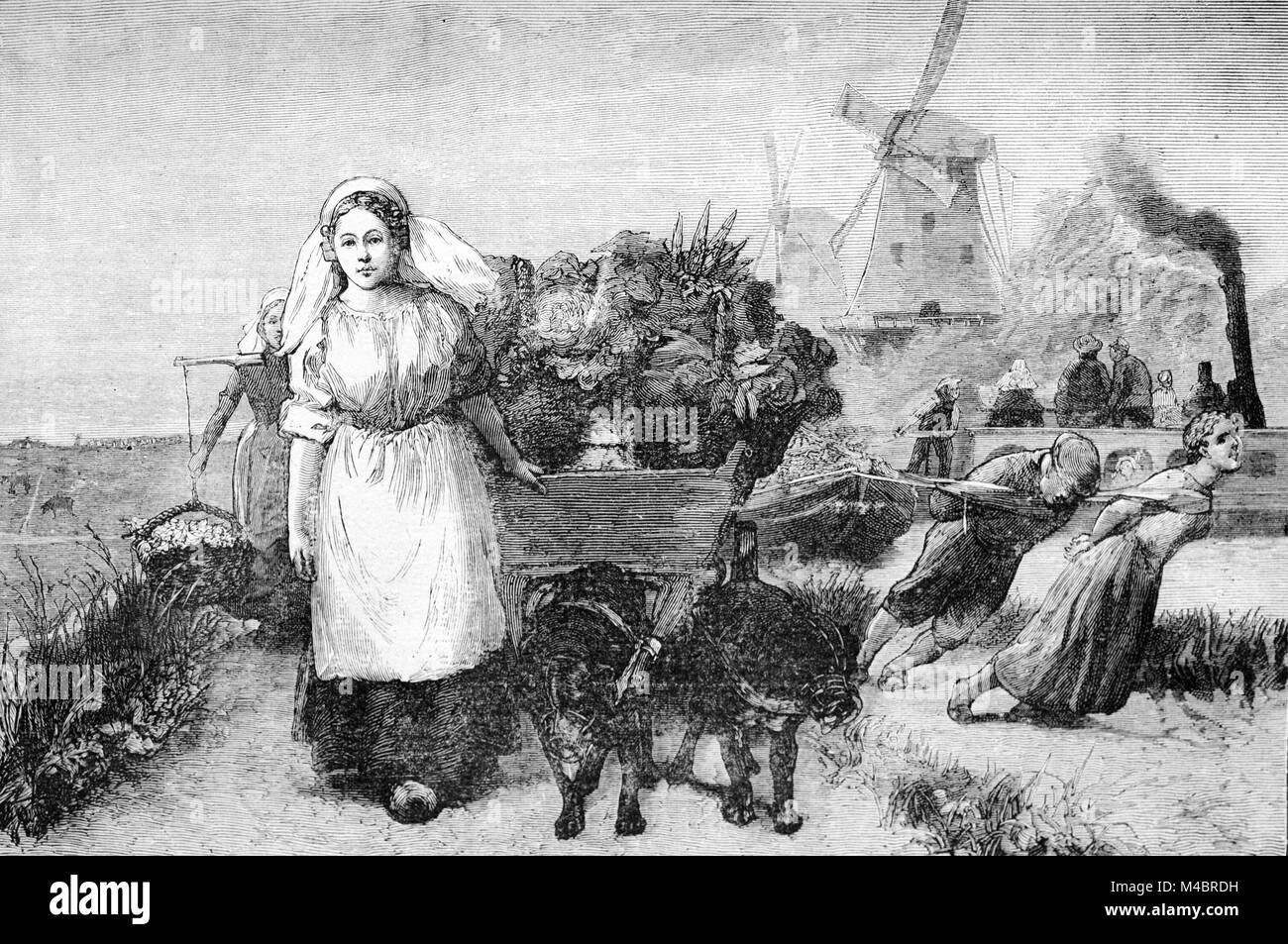 Ragazza olandese nel tradizionale costume folkloristico, mulino a vento olandese e cane Carrello Olanda o Paesi Bassi (incisione, 1880) Foto Stock