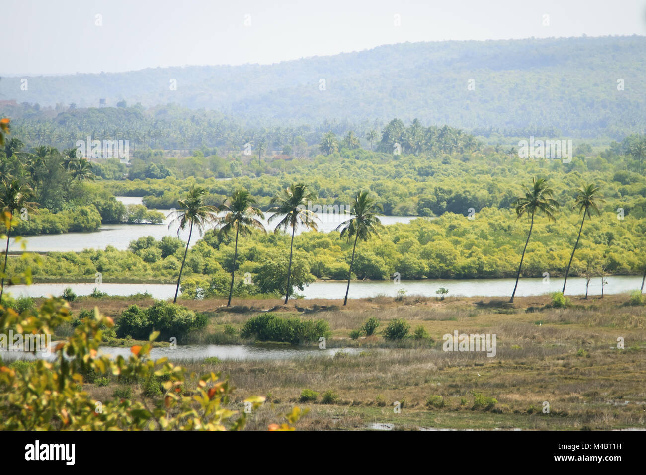 Vista panoramica della bellezza della natura in Goa Foto Stock