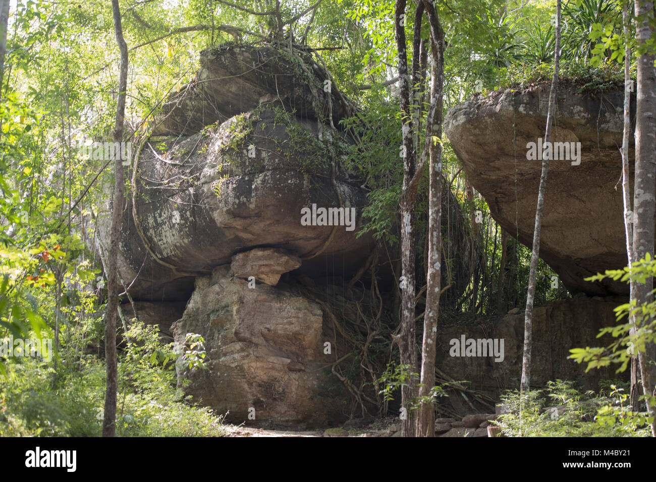 Thailandia ISAN Udon Thani PHU PHRA BAT NARIONAL PARK Foto Stock