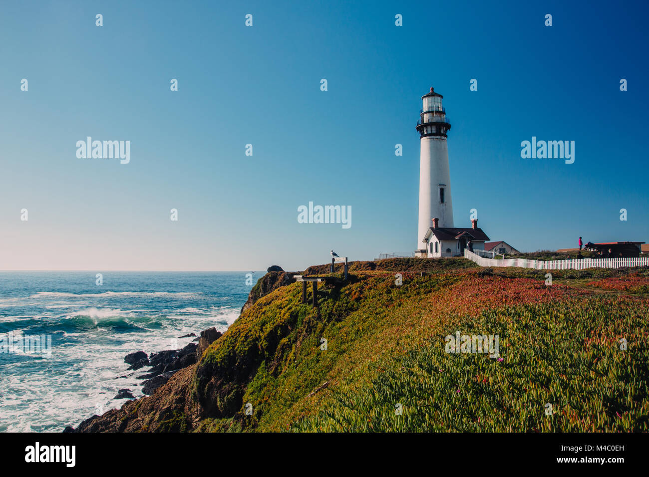 Pigeon Point Lighthouse sulla strada statale n. 1, California Foto Stock