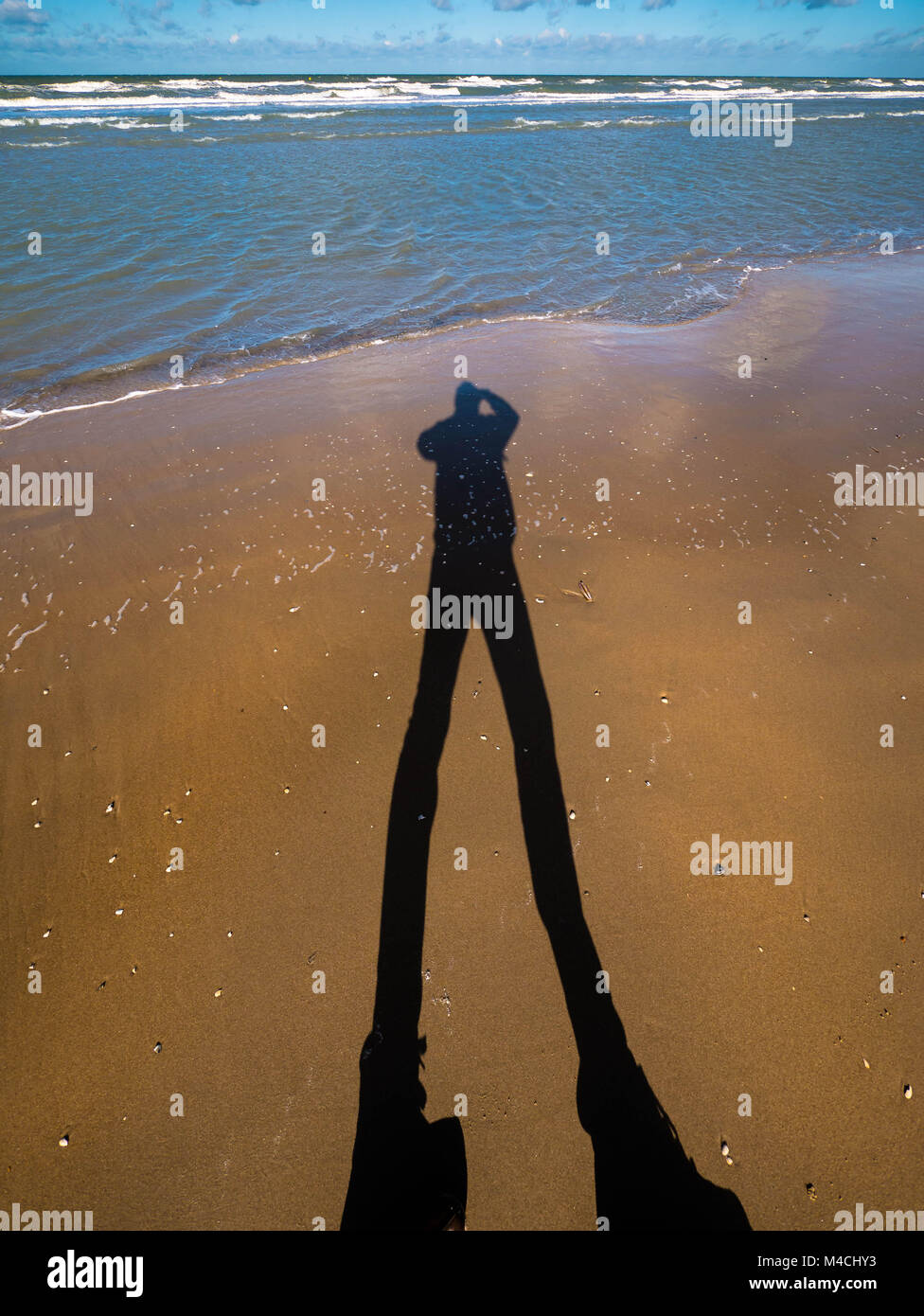 Ritratto di silhouette proprio in corrispondenza della linea di galleggiamento Foto Stock