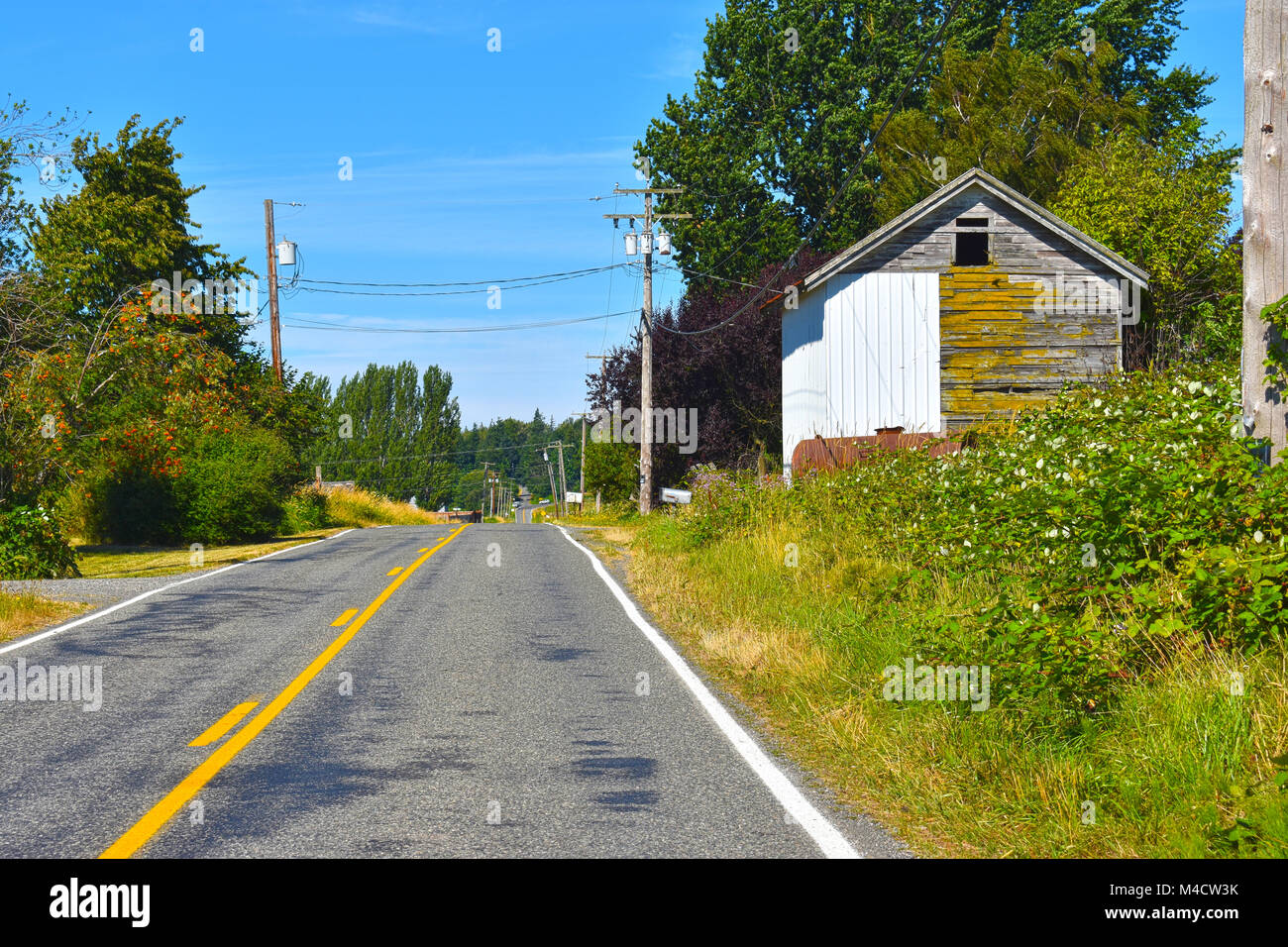 Strada di campagna nel pacifc campagna a nord-ovest di Ferndale, Washington, Stati Uniti d'America. Foto Stock