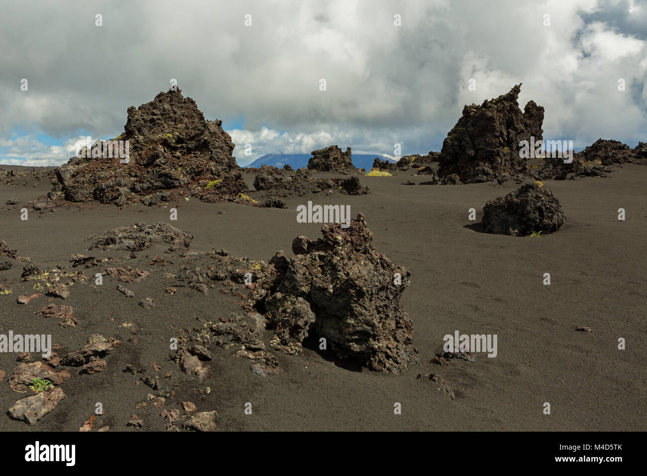 Vecchi campi di lava sulle pendici dei vulcani Tolbachik Foto Stock