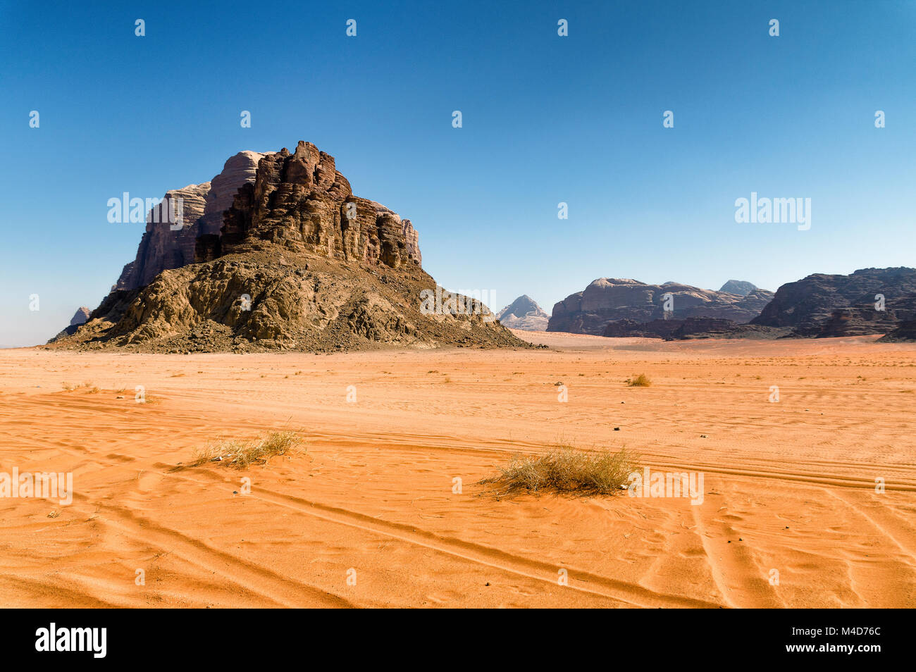 Vita nel deserto in Giordania Foto Stock