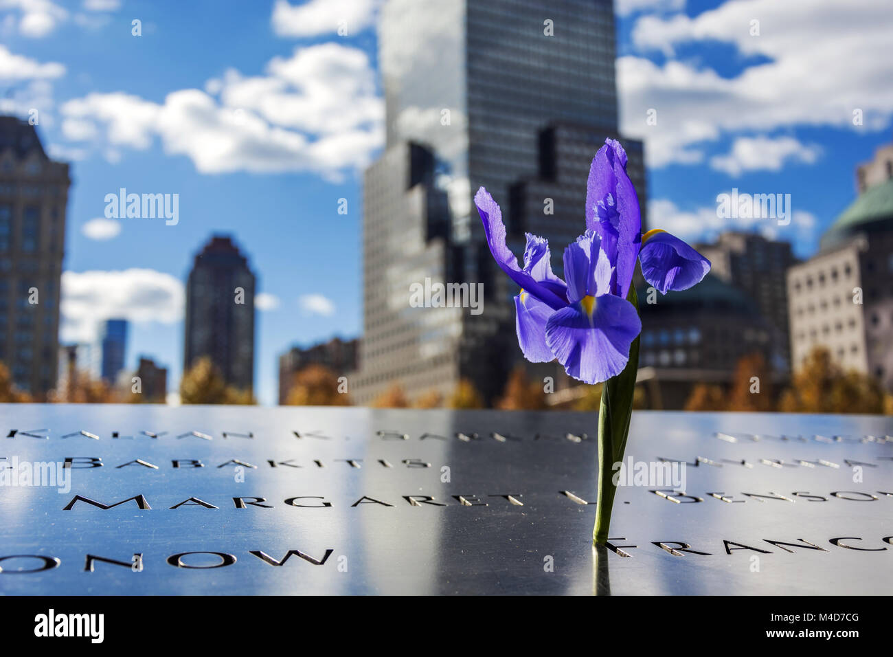 Fiore all'911 memorial world trade center Foto Stock