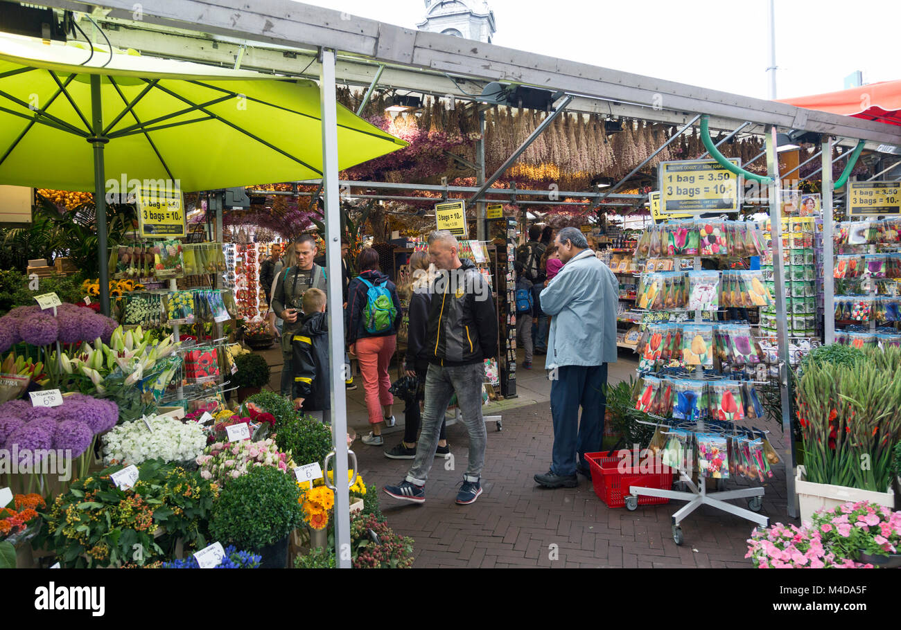 I turisti e la gente del posto lo shopping al famoso mercato dei fiori di Amsterdam, Paesi Bassi per fiori e negozio di souvenir. Coperto di stallo di fiori. Foto Stock