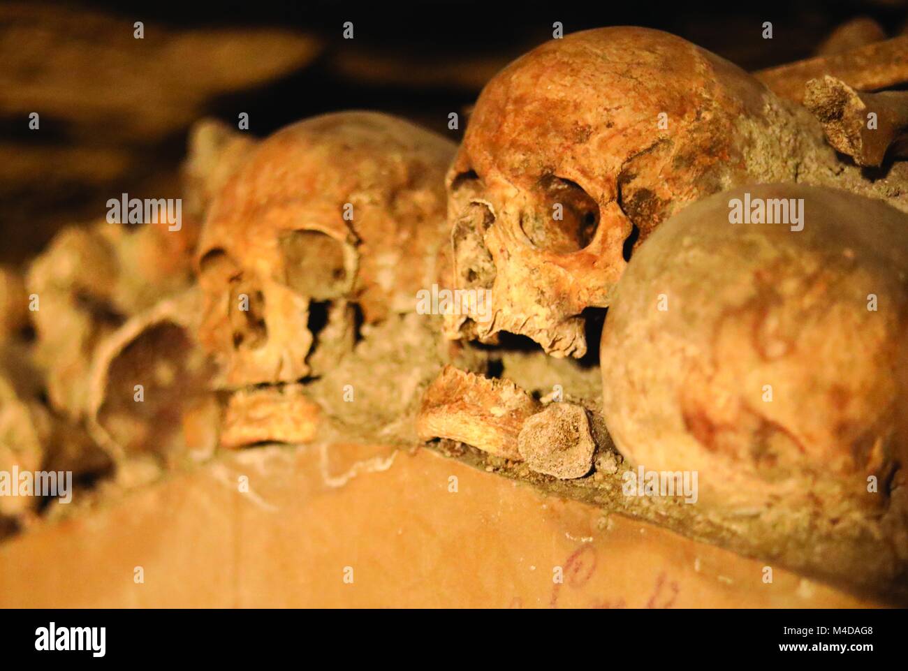 Teschi nelle catacombe di Parigi Foto Stock