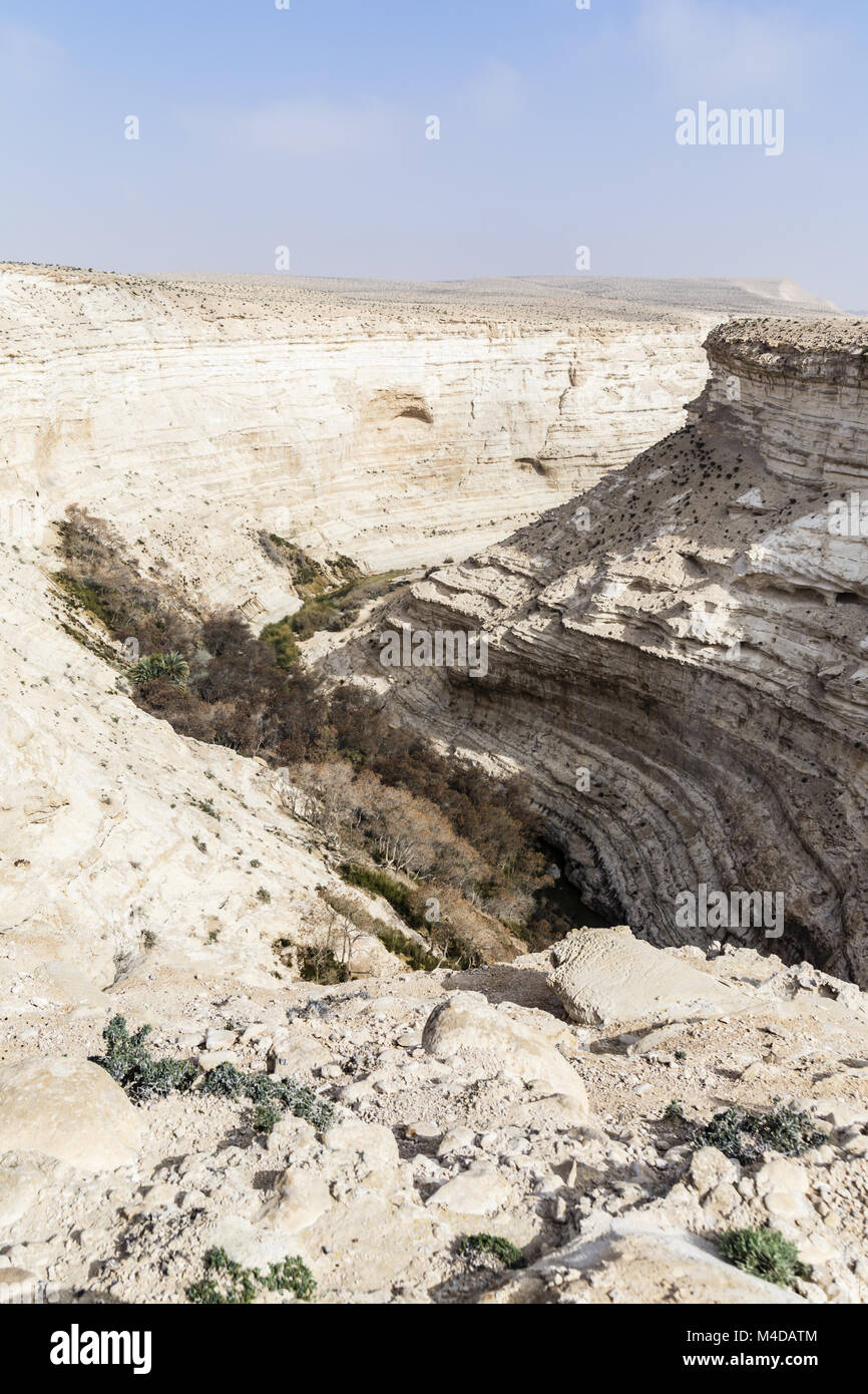 En Advat Nationalpark o Ein Advat, Negev, Israele Foto Stock