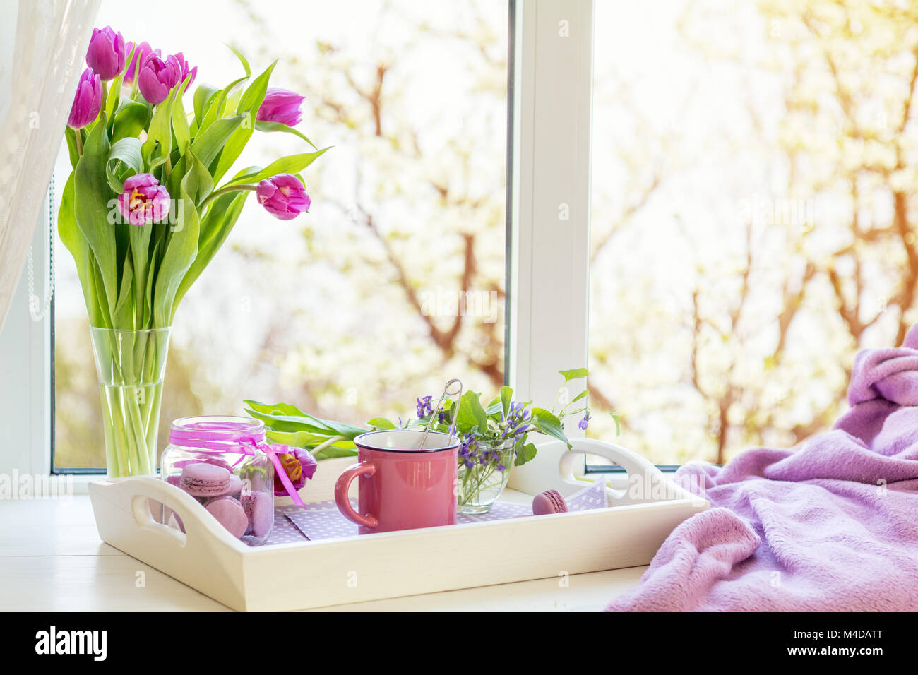 Violetta sunshine accogliente casa concept Foto Stock