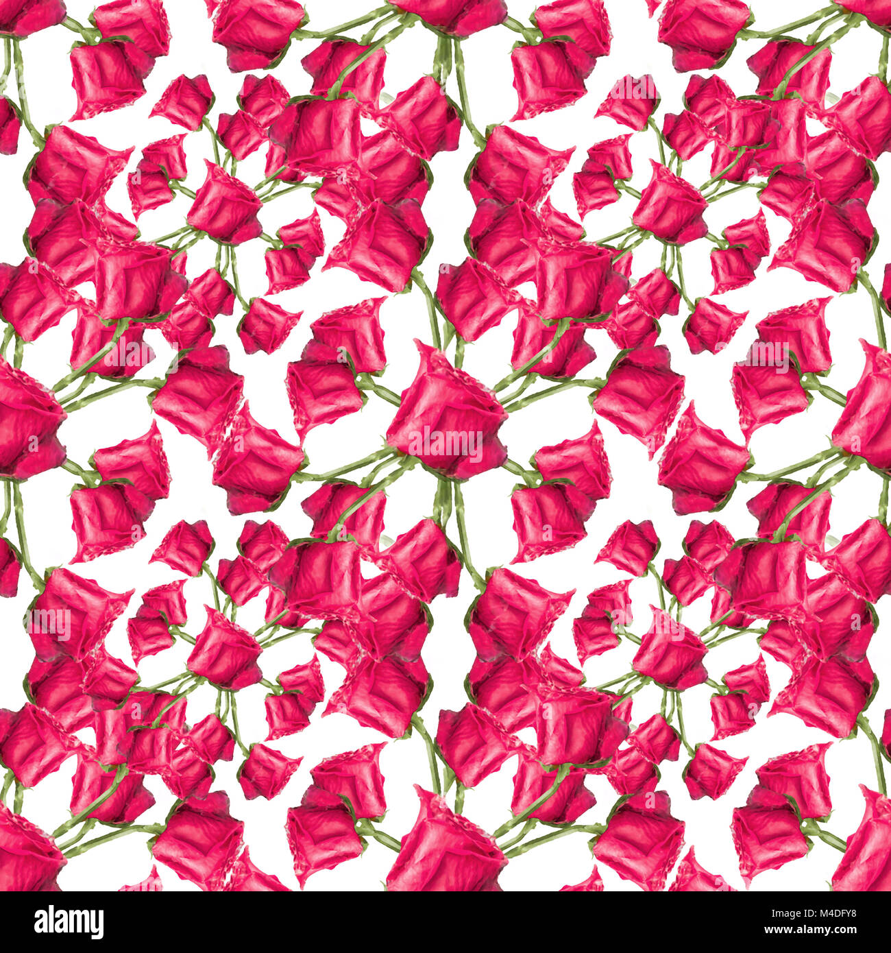 Rose rosse modello senza giunture Foto Stock