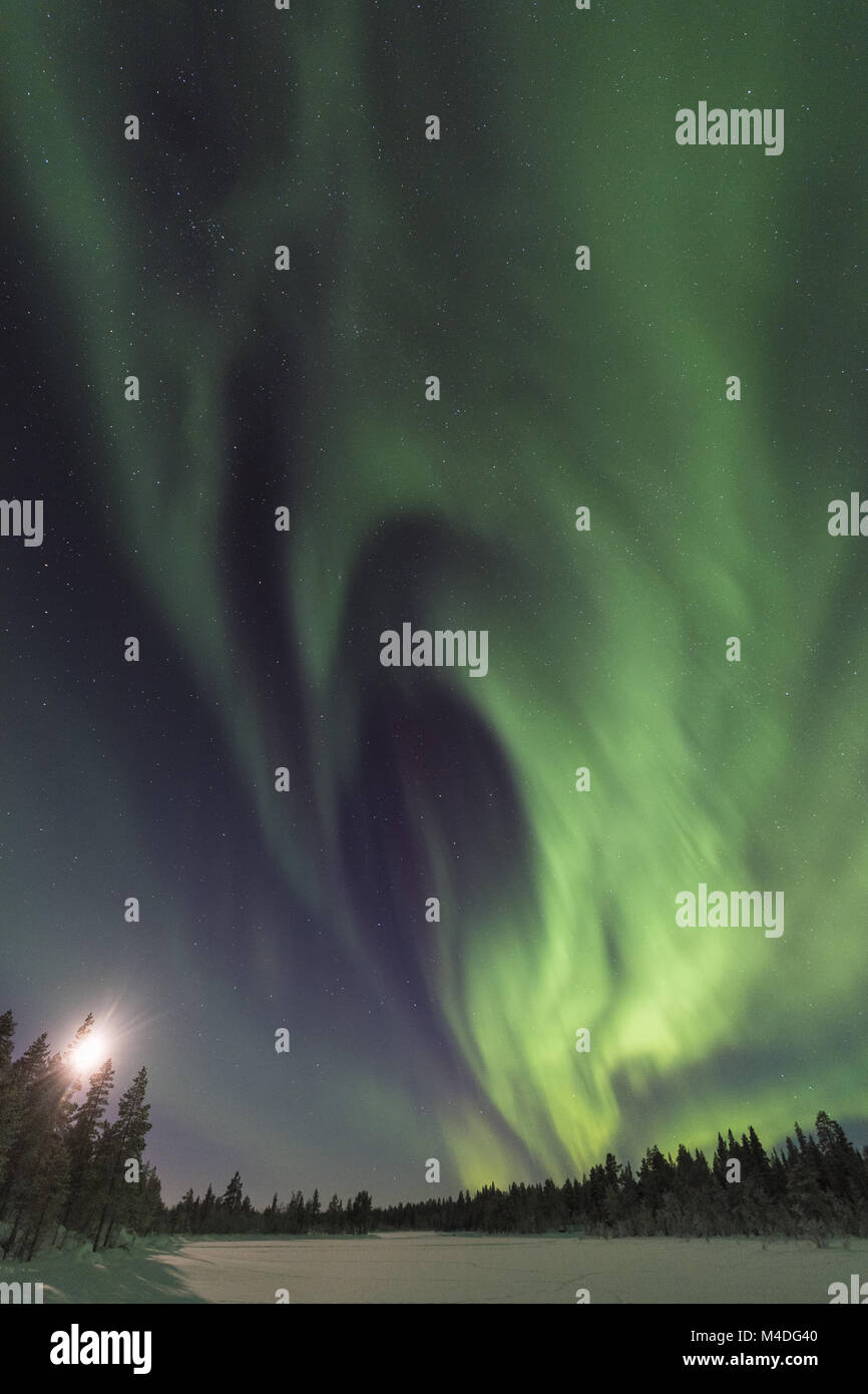 Luci del nord sopra il paesaggio al chiaro di luna, Lapponia, Svezia Foto Stock