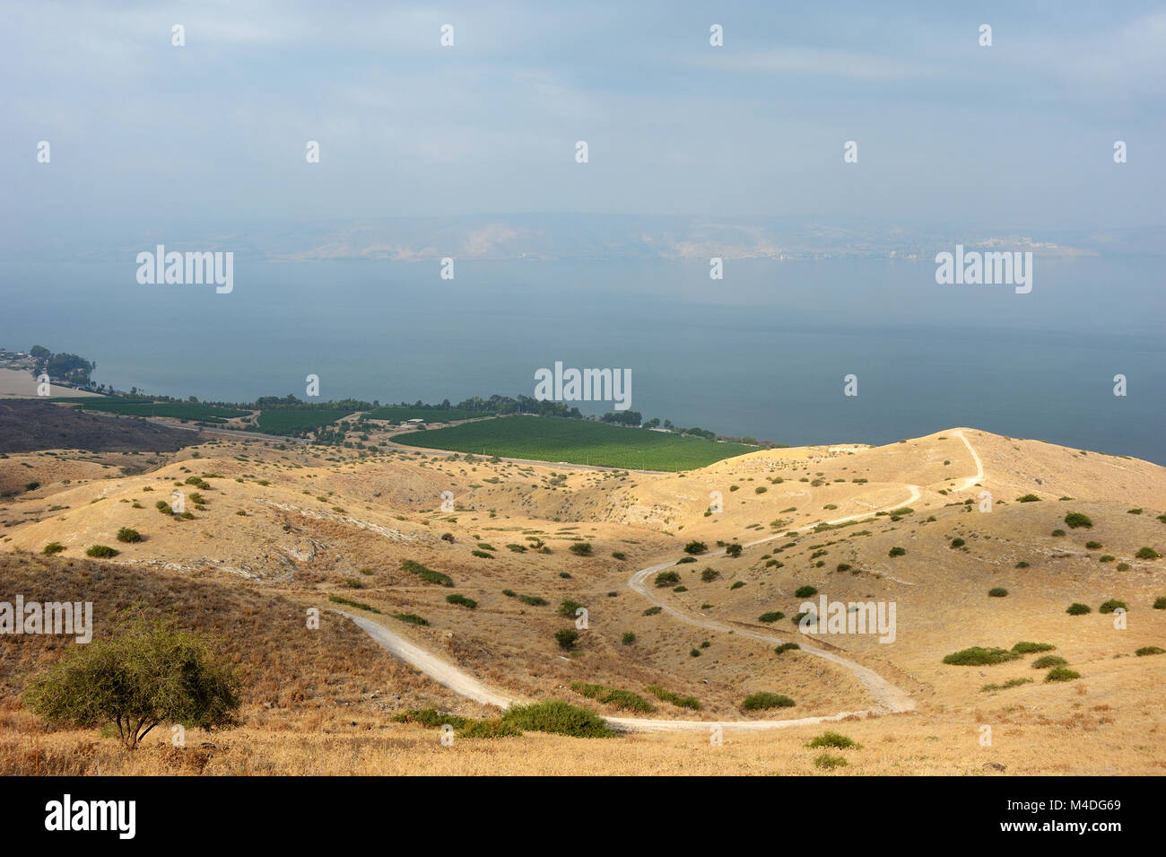Pendici delle alture del Golan Foto Stock
