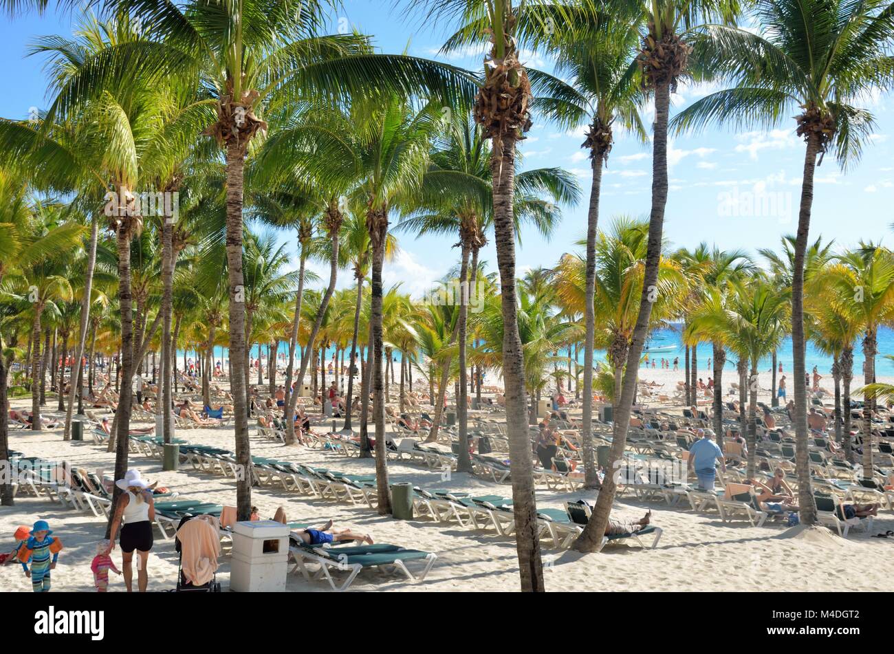 Affollata zona spiaggia con palme Foto Stock