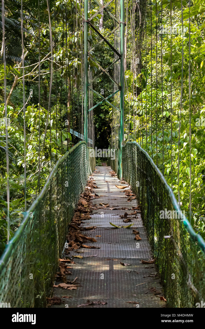 Ponte sospeso nella foresta pluviale in Costa Rica Foto Stock