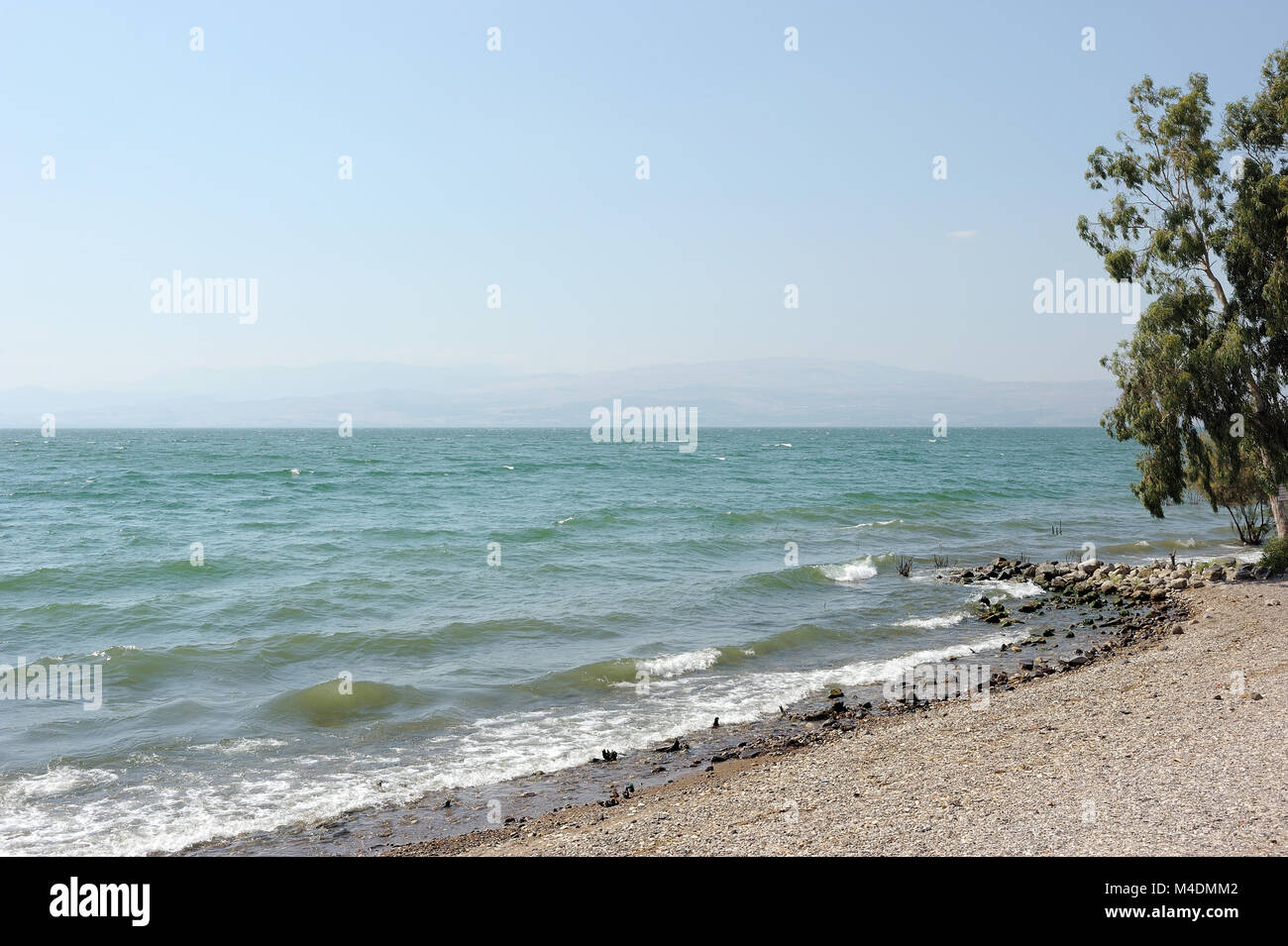 Mare di Galilea (Kinneret) Foto Stock
