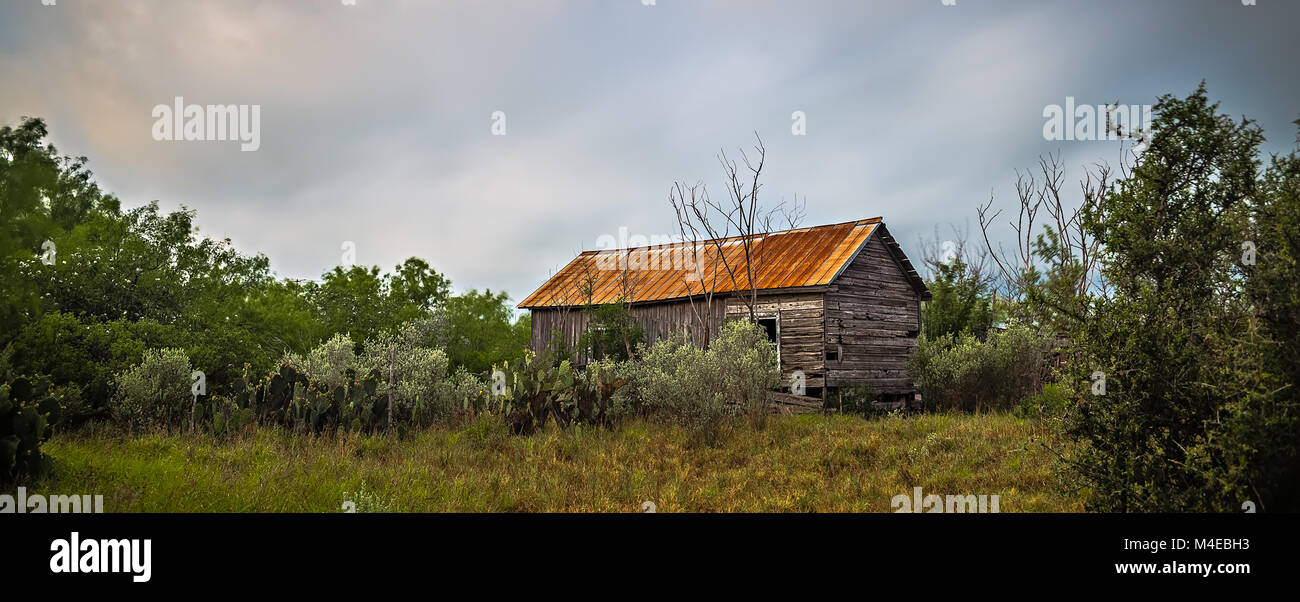 Abbandonato log cabin casa boschi profondi in Texas Foto Stock