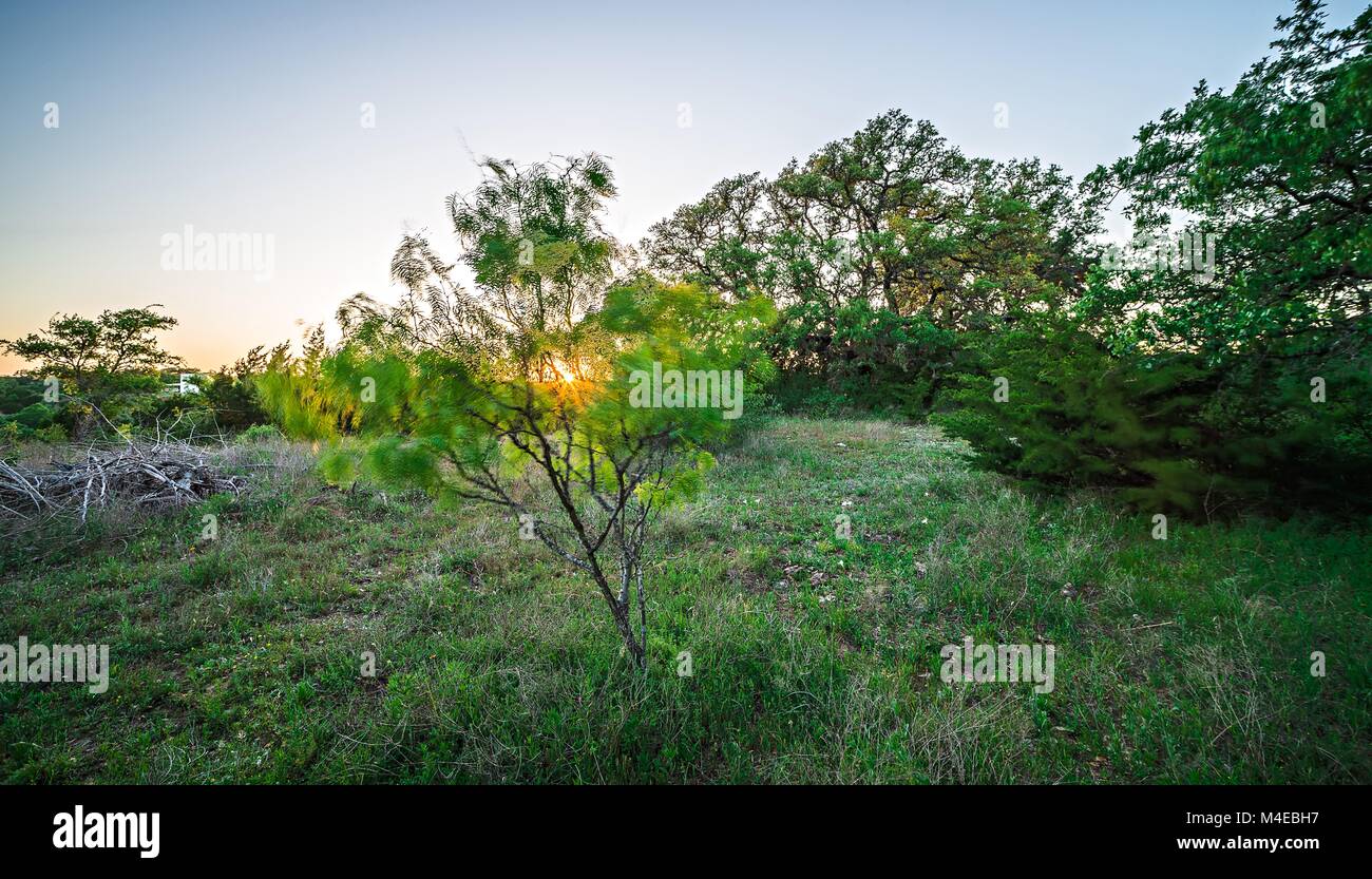 Paesaggi intorno a Willow city loop texas al tramonto Foto Stock