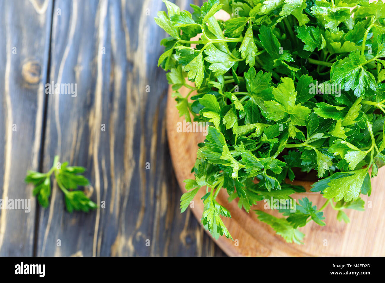 Foglie di prezzemolo in gocce di acqua. Foto Stock
